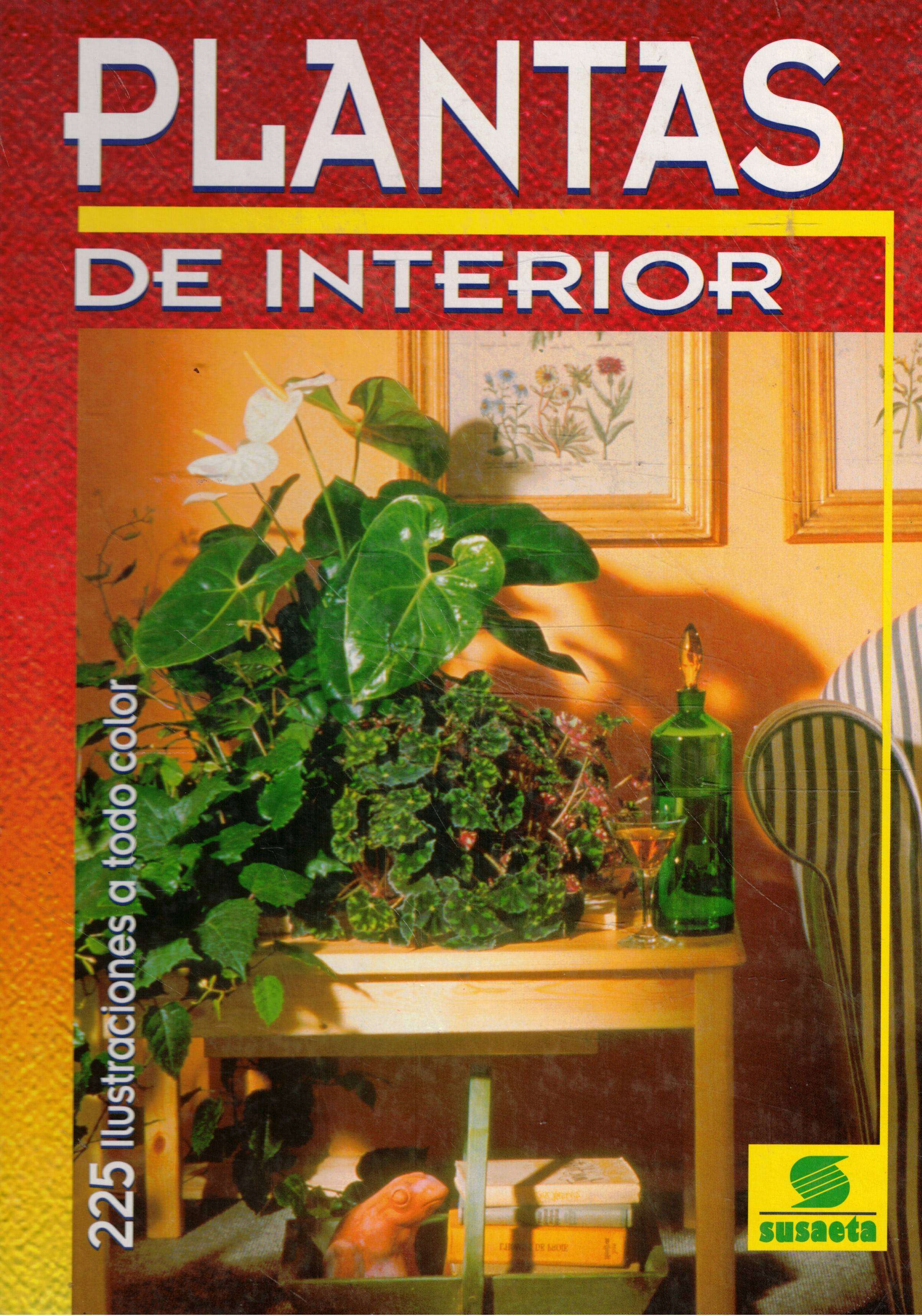 Plantas de interior