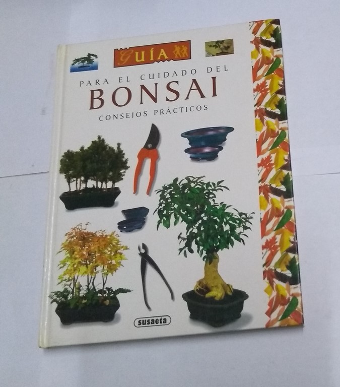 Guía para el cuidado del bonsai
