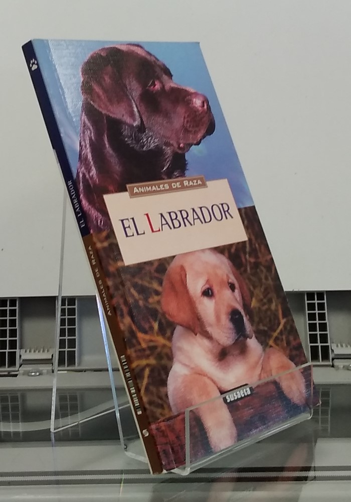 El labrador