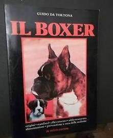 El Boxer