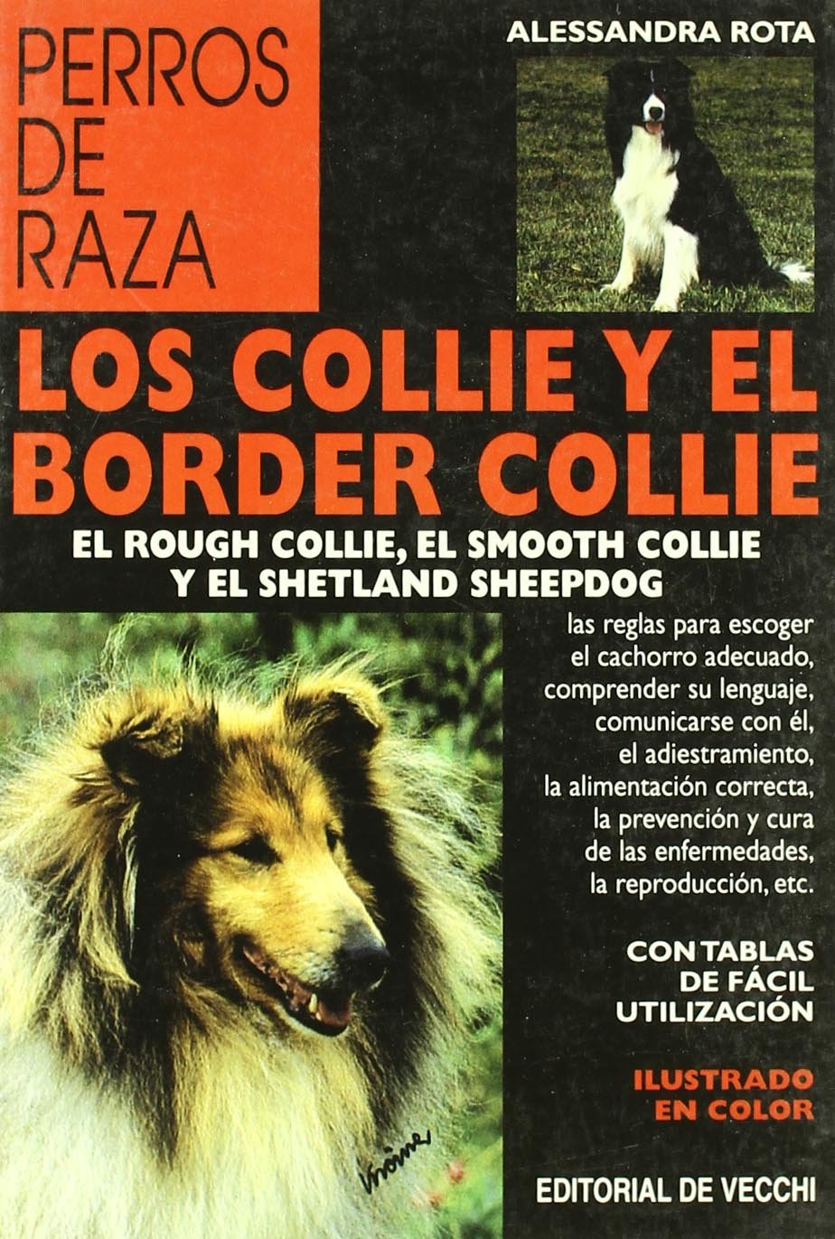 Los collie y el border collie