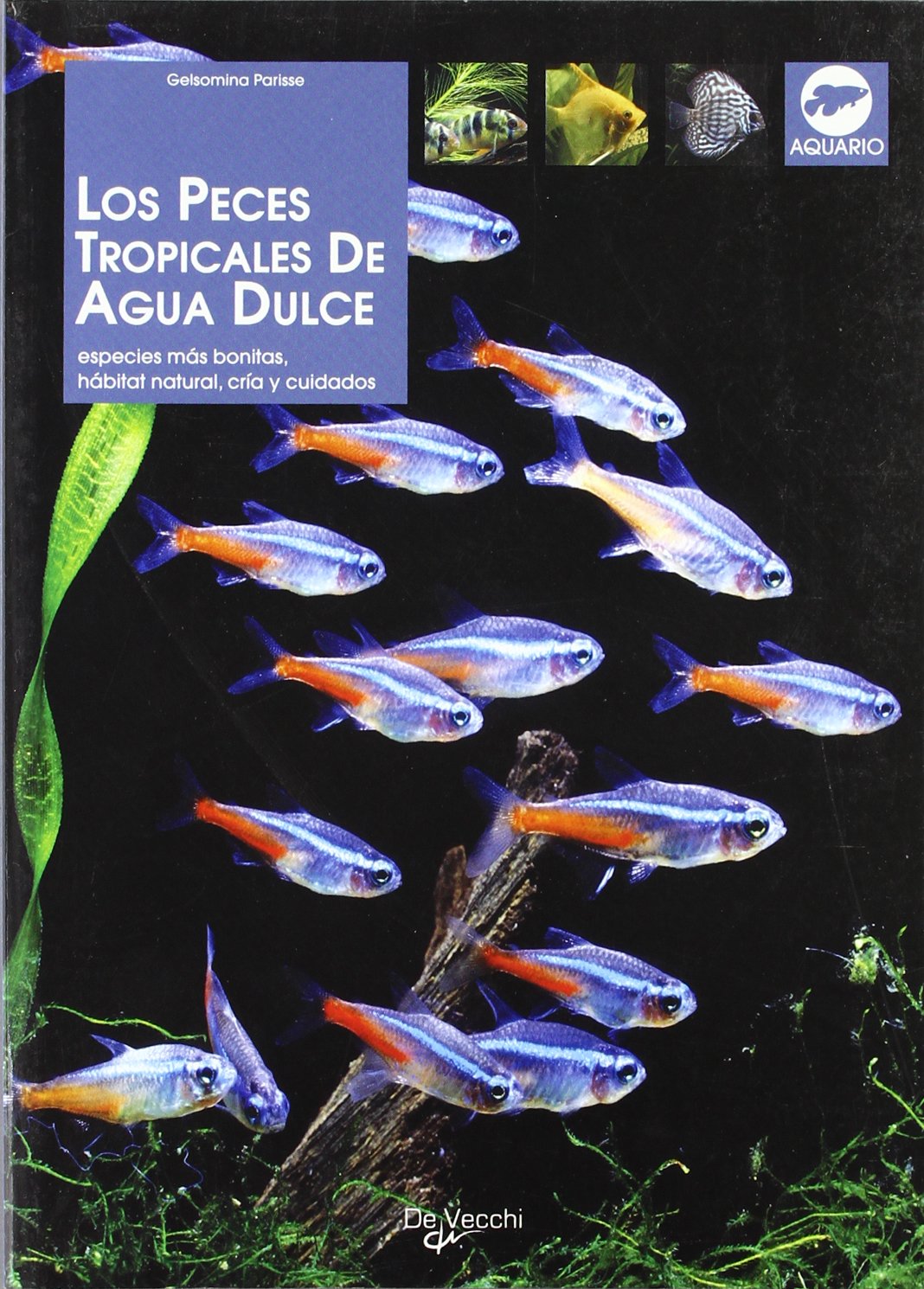 Los peces tropicales de agua dulce