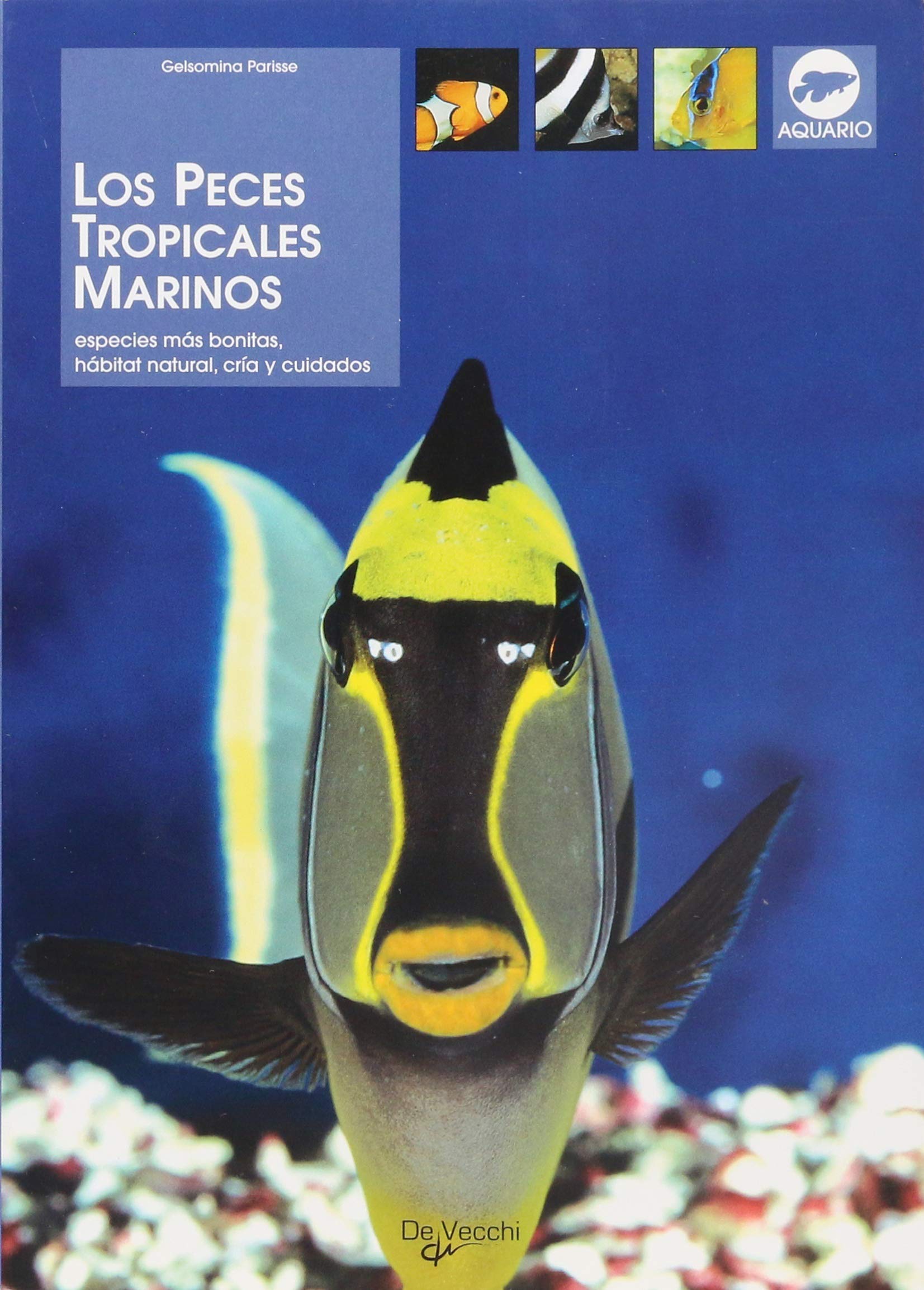 Los peces tropicales marinos