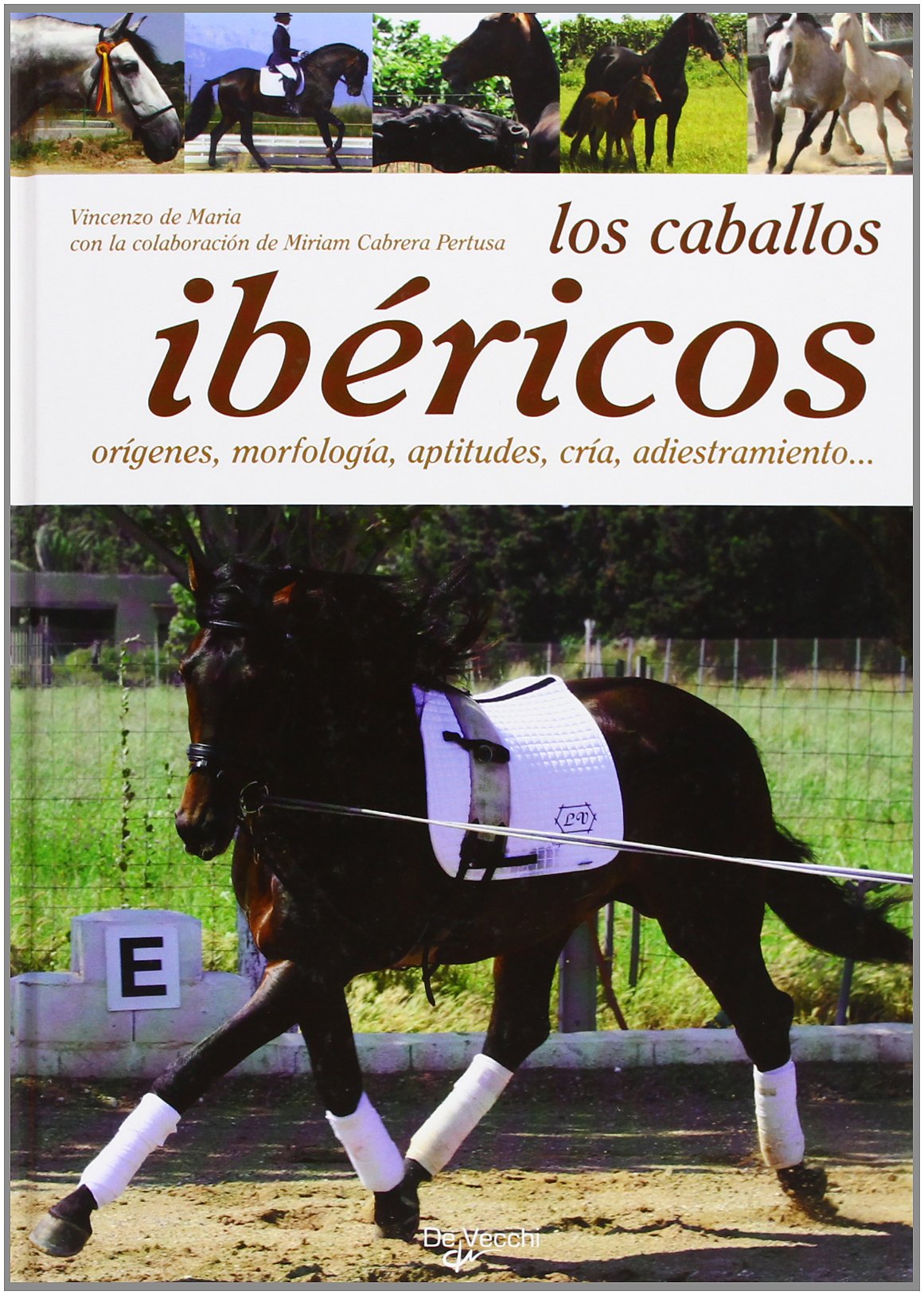 Los caballos ibéricos