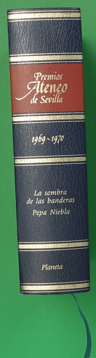La sombra de las banderas. Pepa Niebla