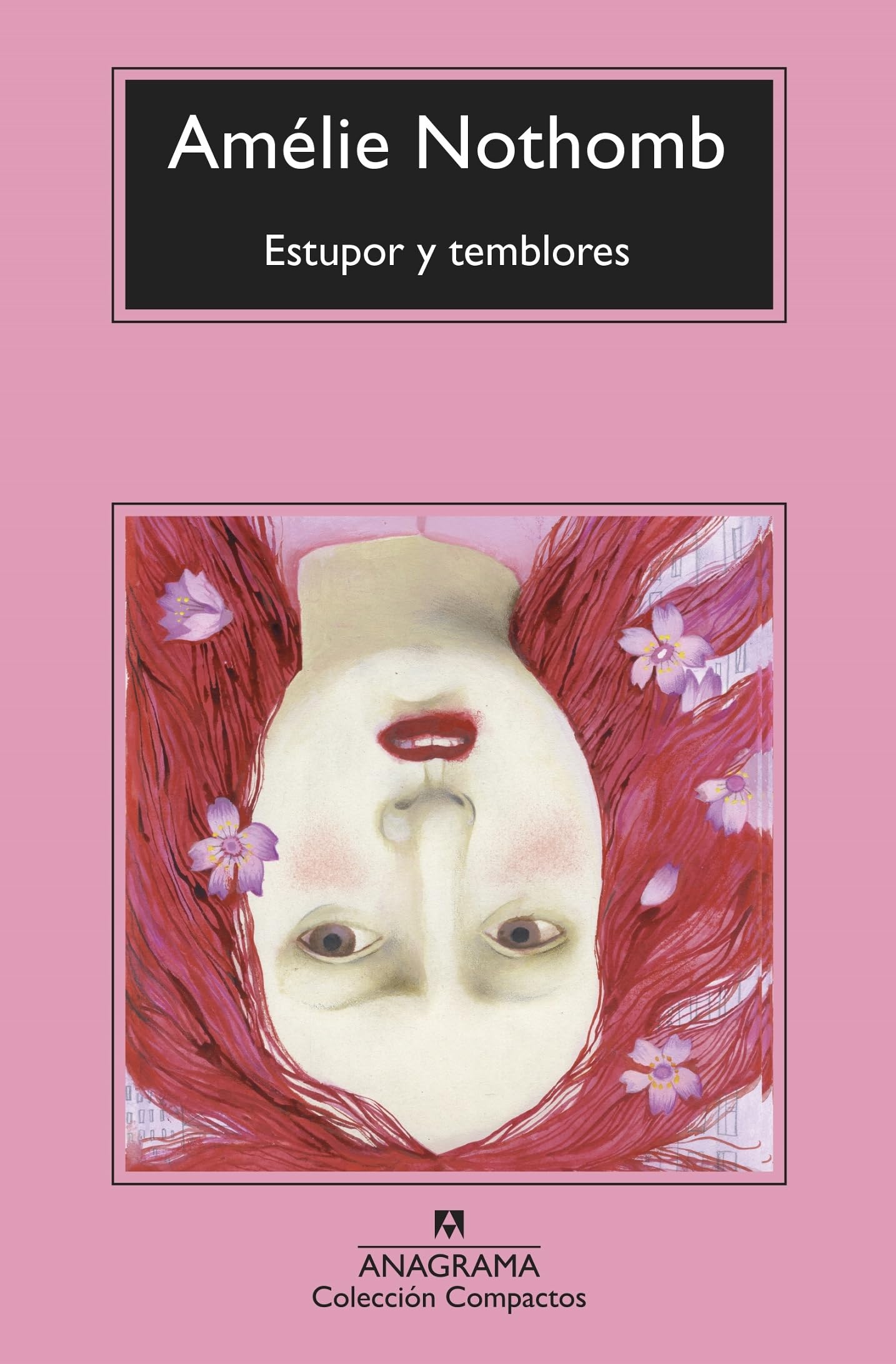 Estupor y Temblores: 747