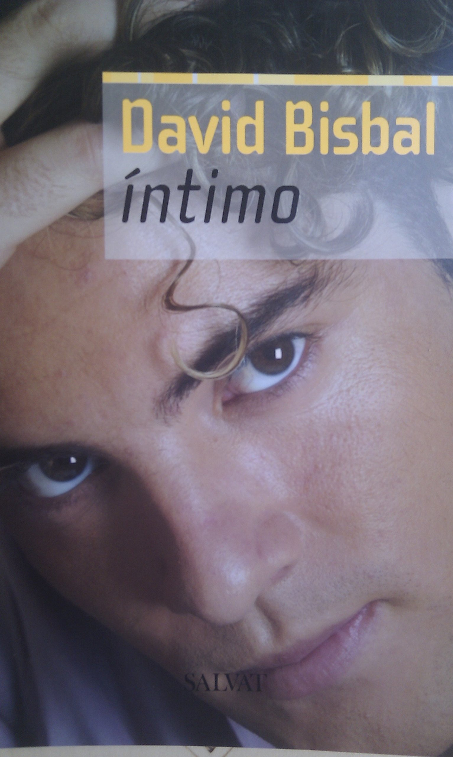 David Bisbal Íntimo