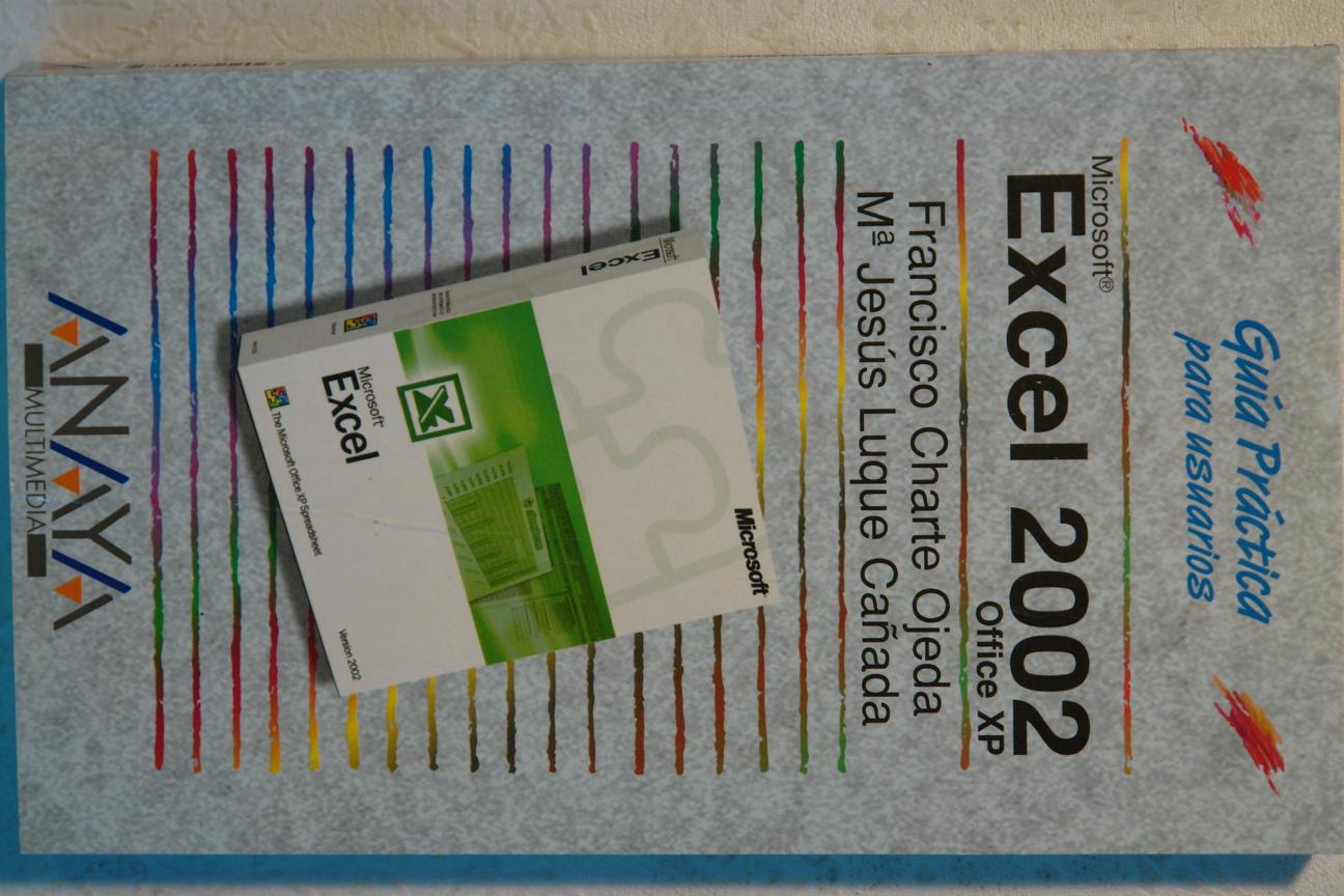 Excel 2002