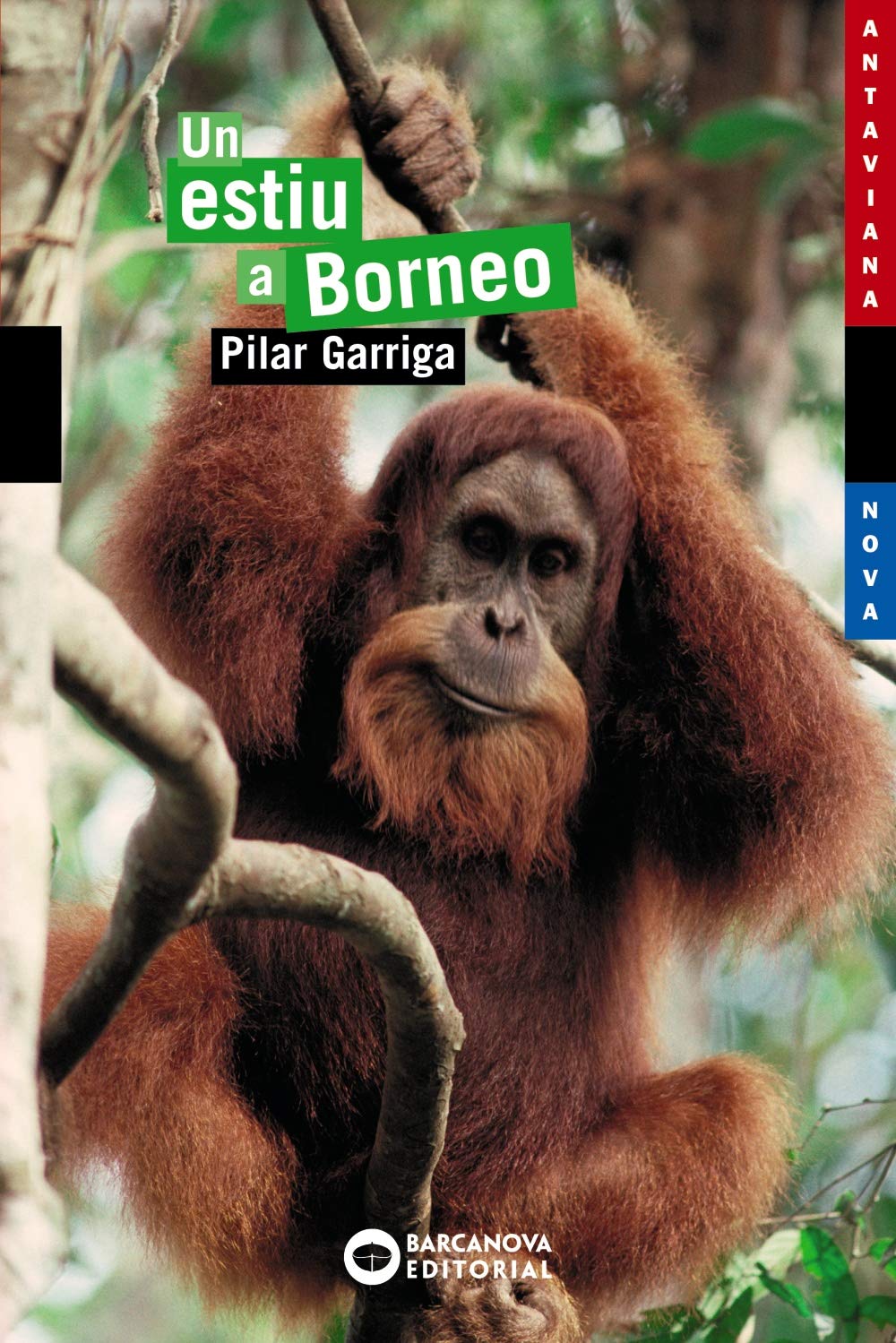 Un Estiu a Borneo