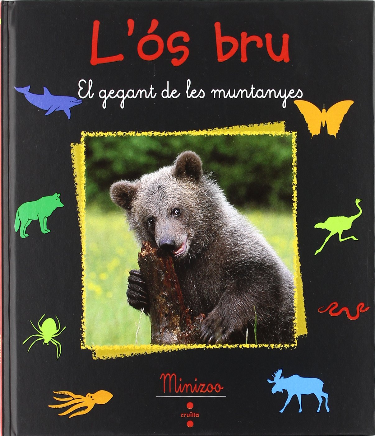 L'ós bru: El gegant de les muntanyes