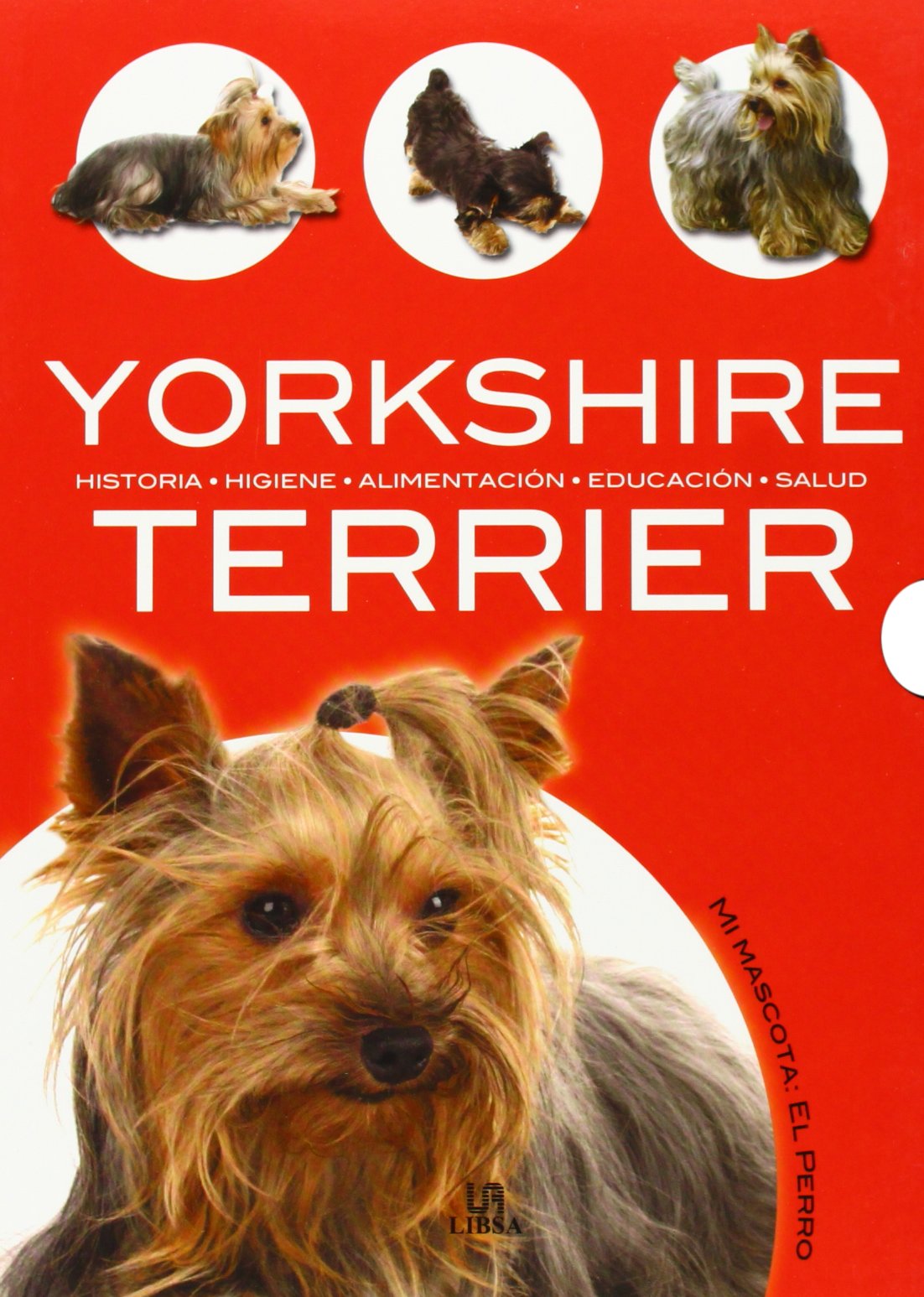 Yorkshire Terrier: Historia, Higiene, Alimentación, Educación y Salud