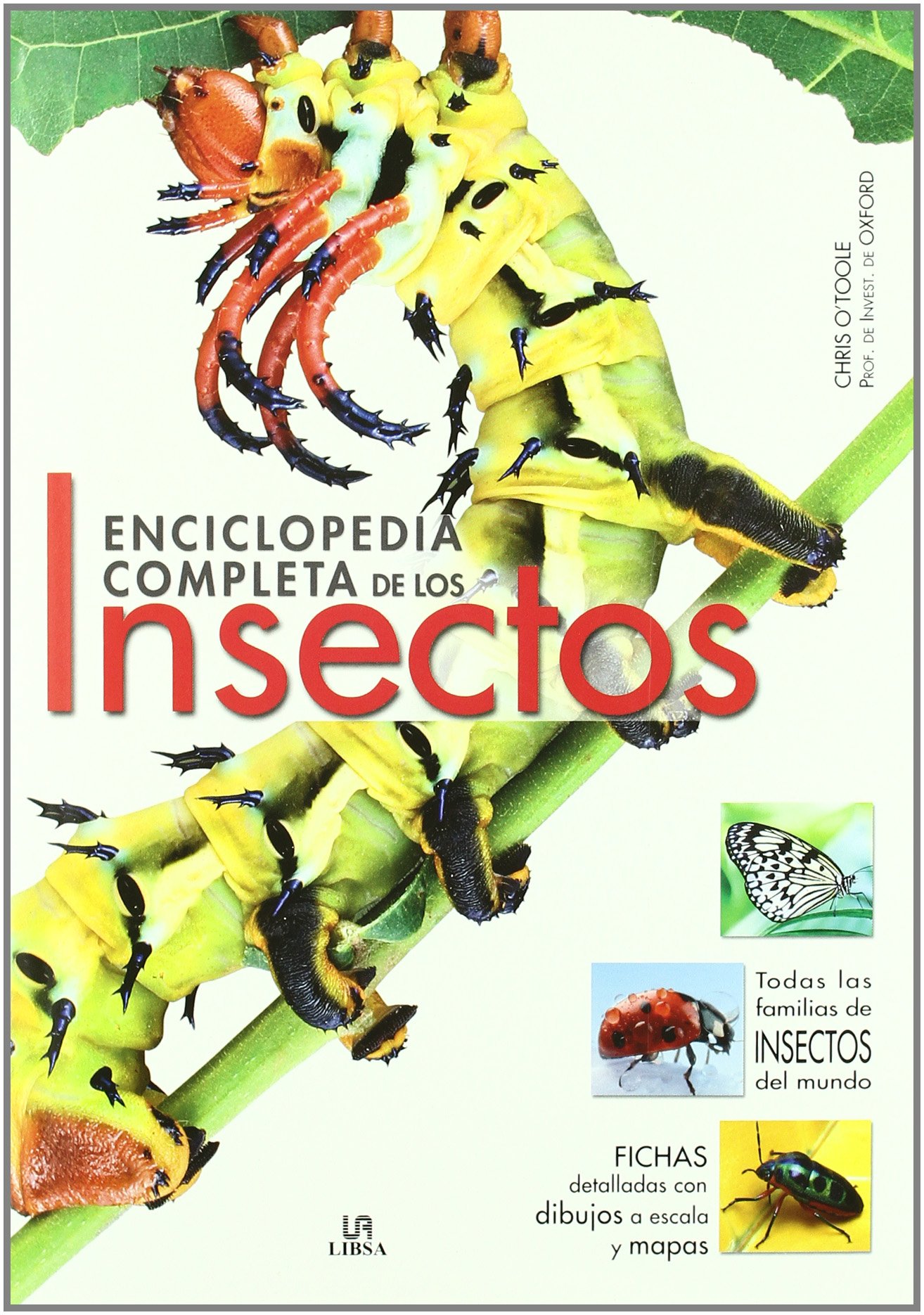 Enciclopedia completa de los insectos