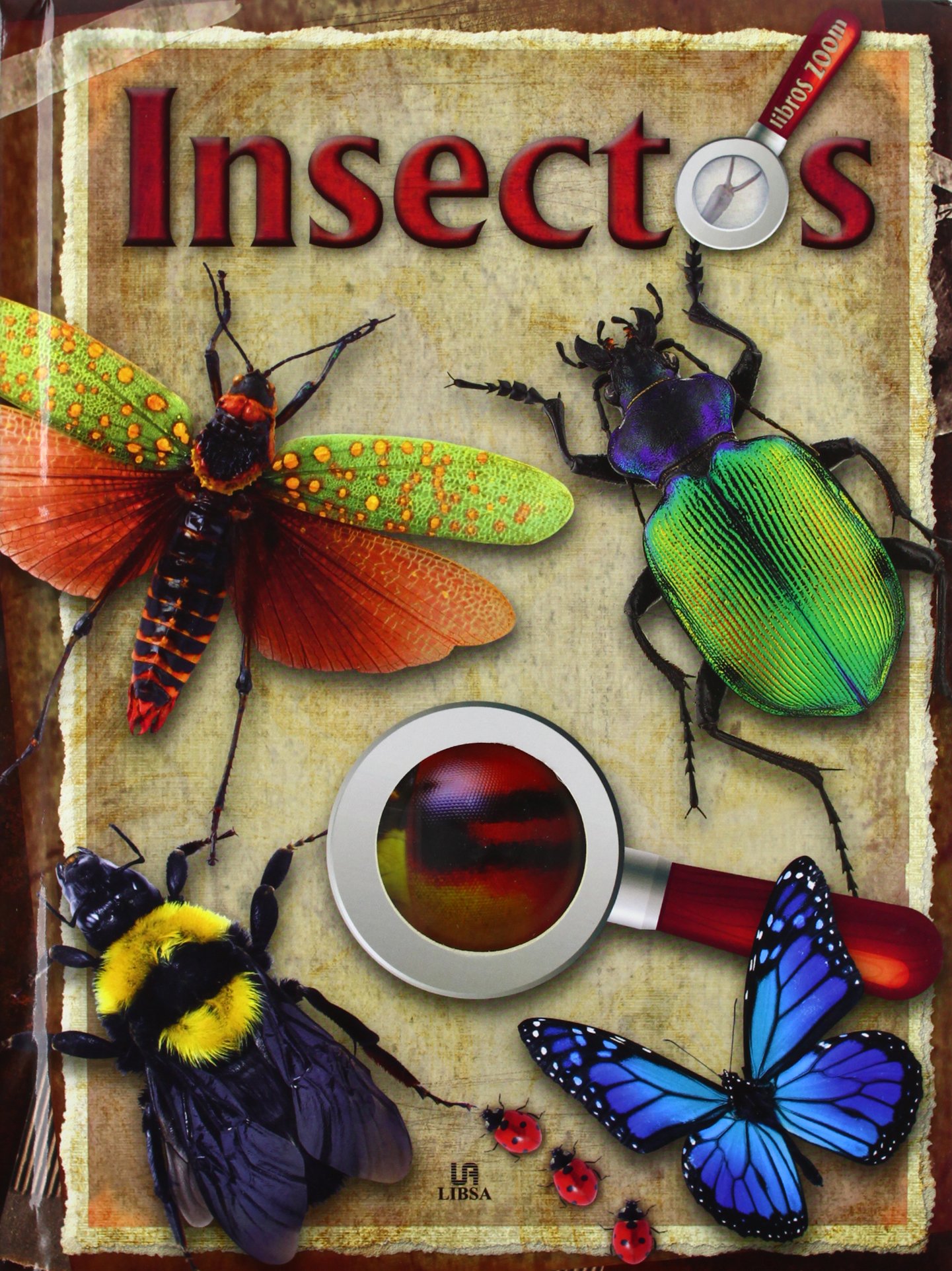 Insectos