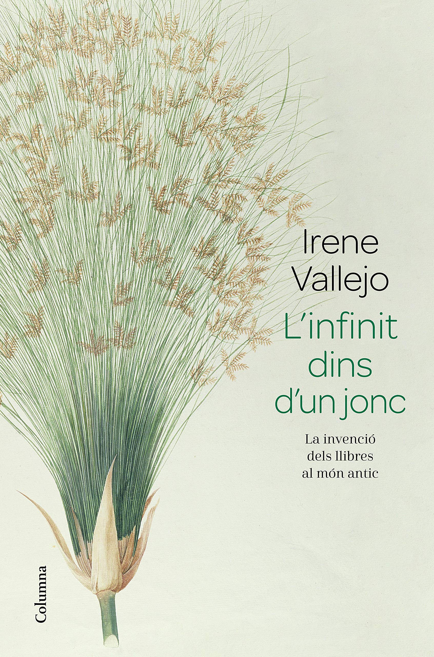 L'infinit Dins D'un Jonc: la Invenció Dels Llibres Al Món Antic