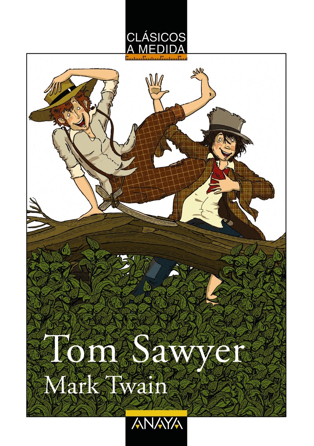 Les Aventures de Tom Sawyer