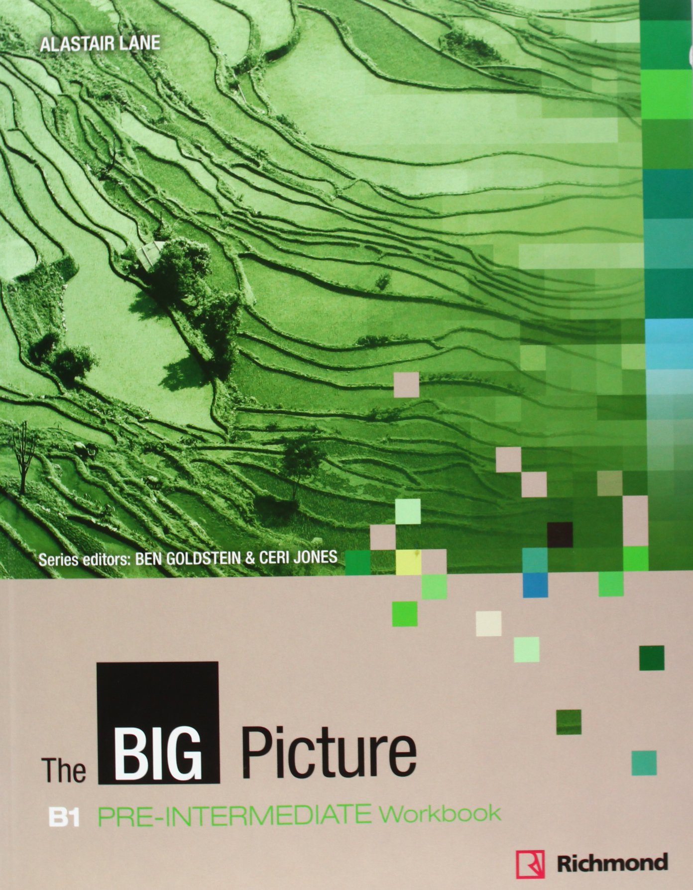 The Big Picture Pre-intermediate Workbook Pack (workbook And S