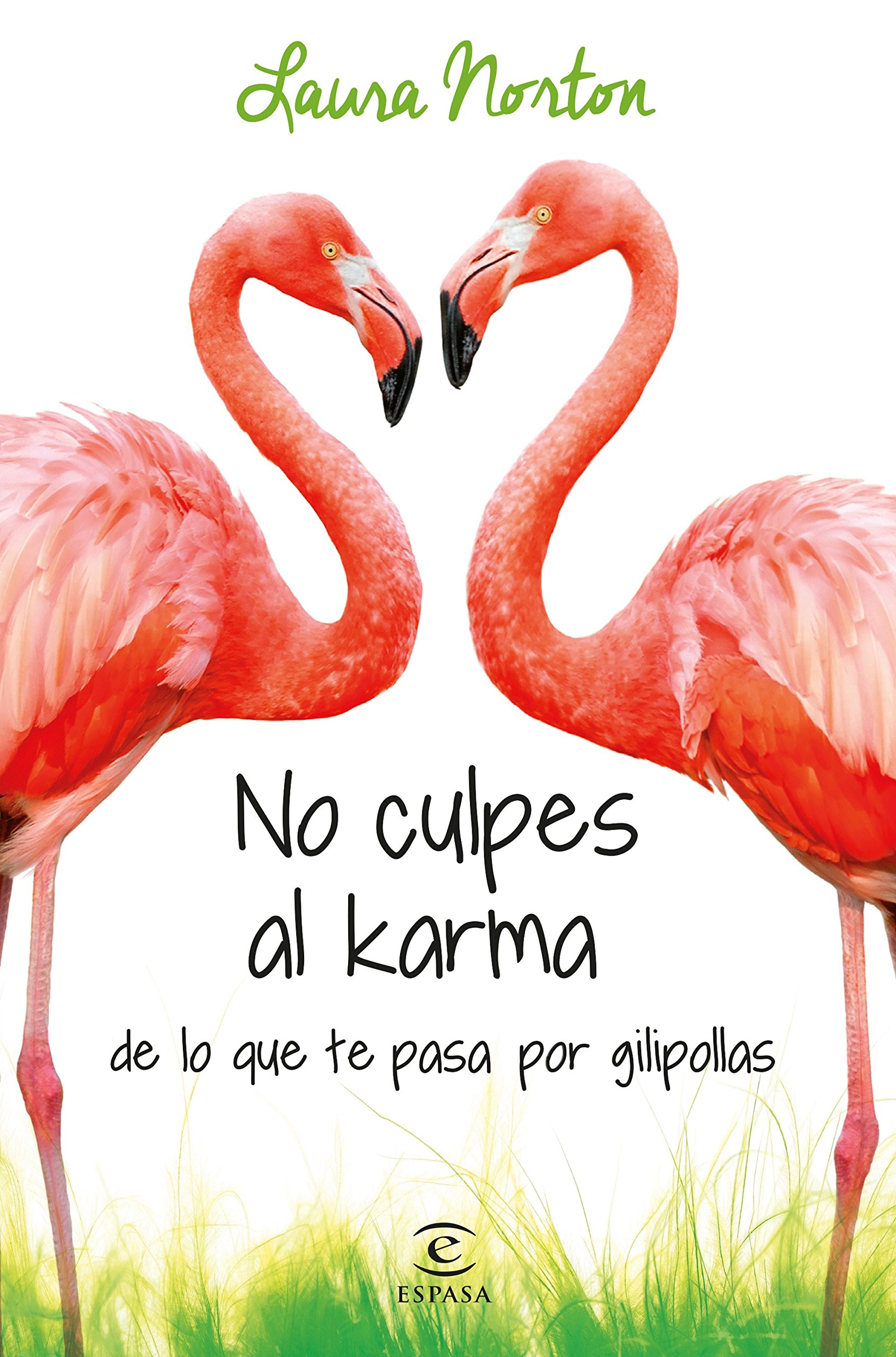 No Culpes Al Karma de Lo Que Te Pasa por Gilipollas