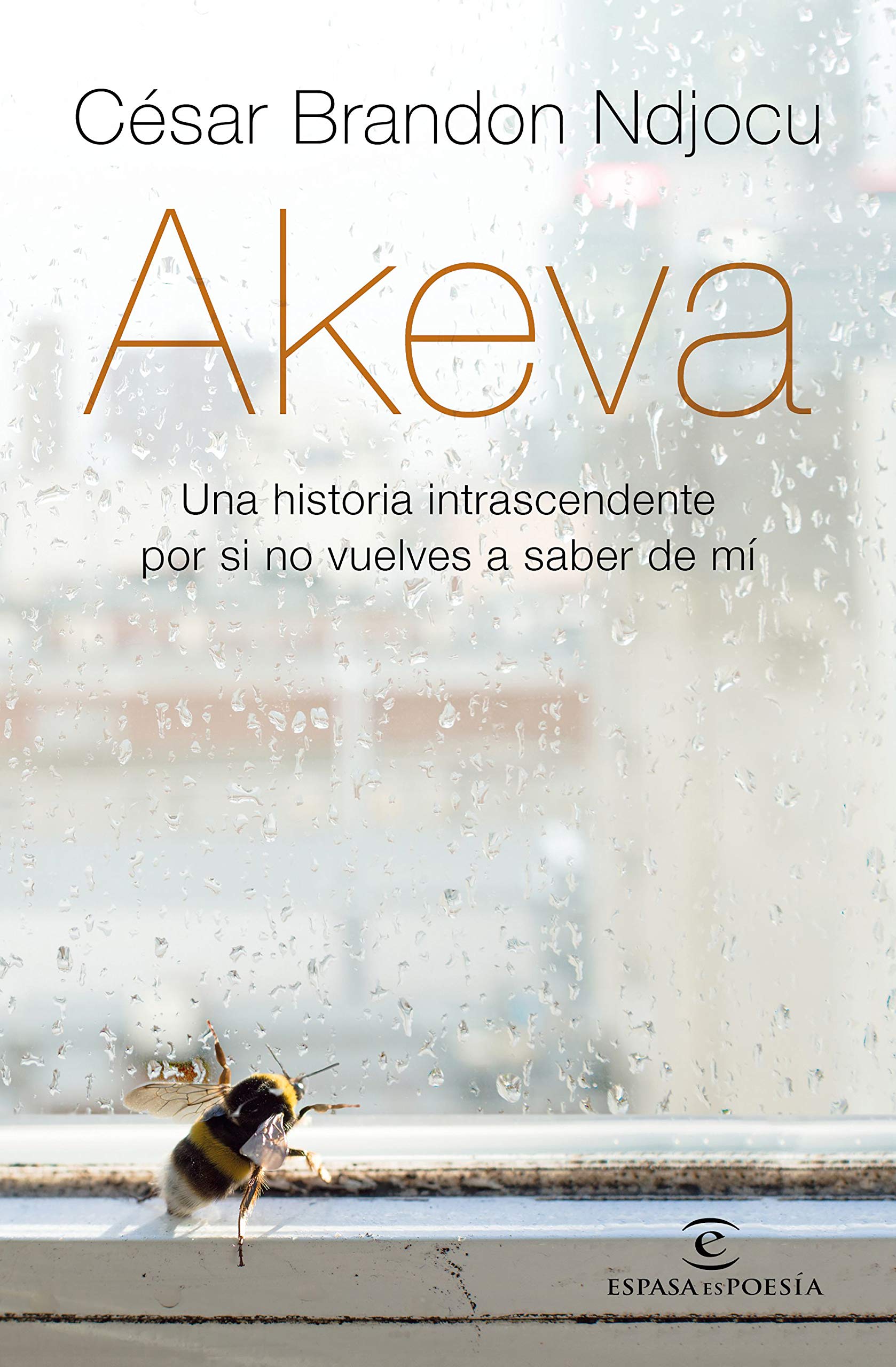 Akeva: Una Historia Intranscendente por Si No Vuelves a Saber de Mí