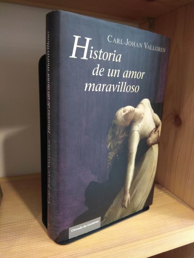 Historia de un amor maravilloso