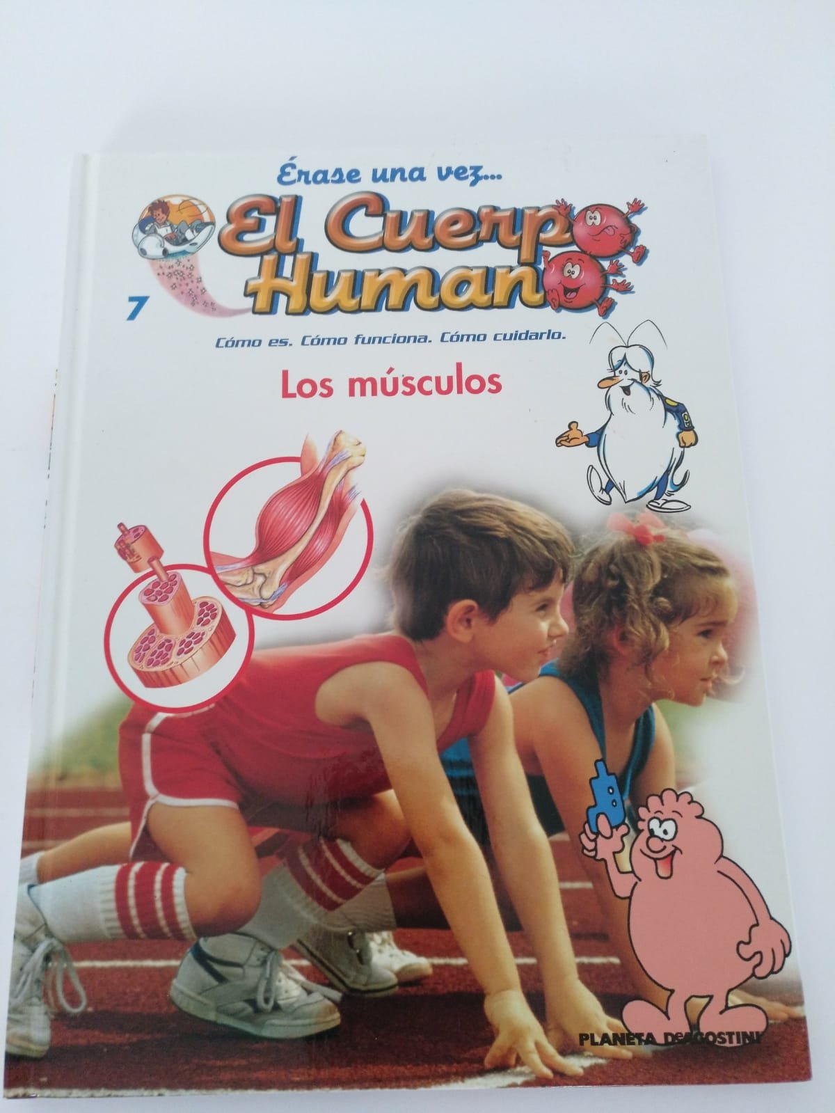 Los Músculos