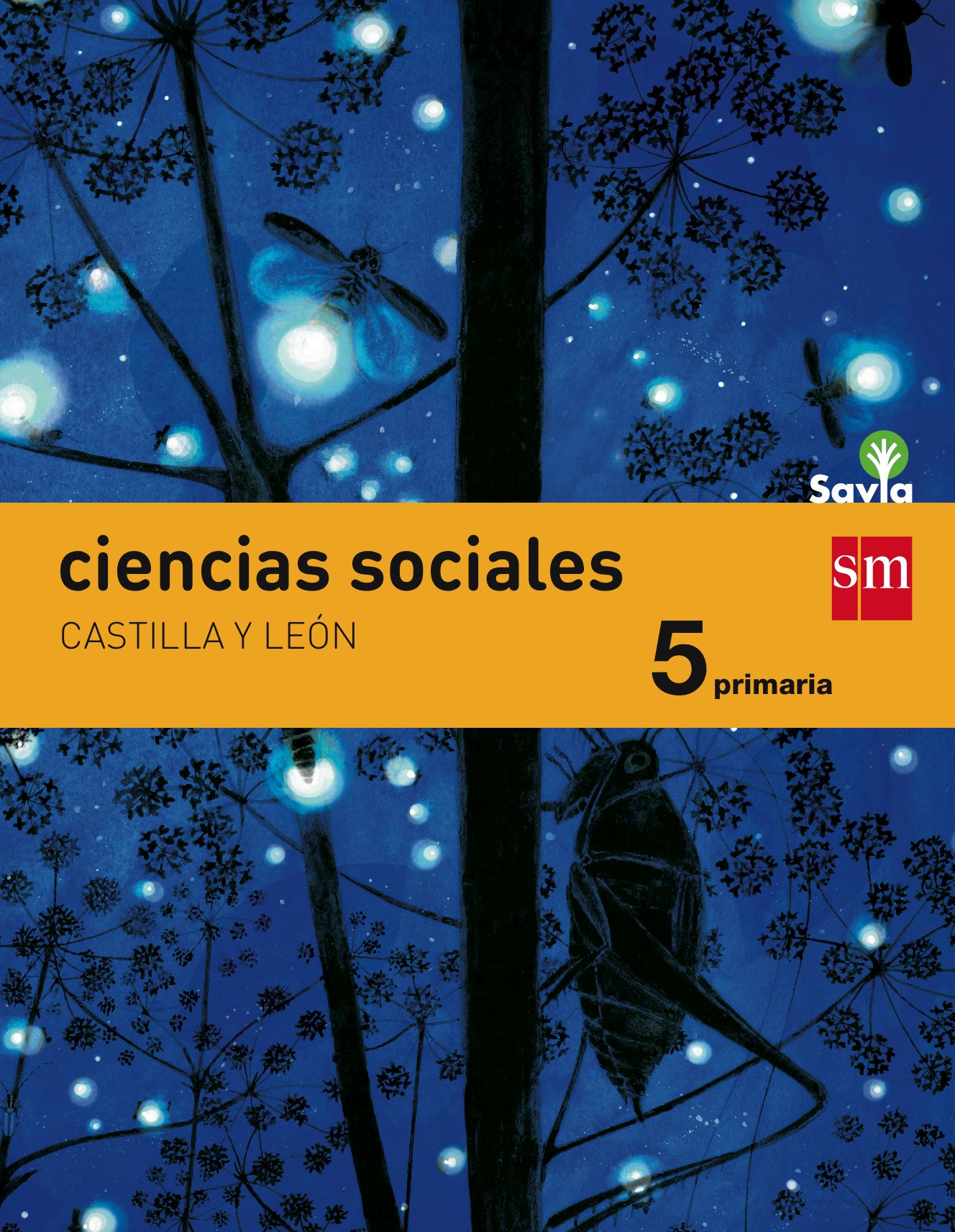 Ciencias sociales. 5 Primaria. Savia. Castilla y León