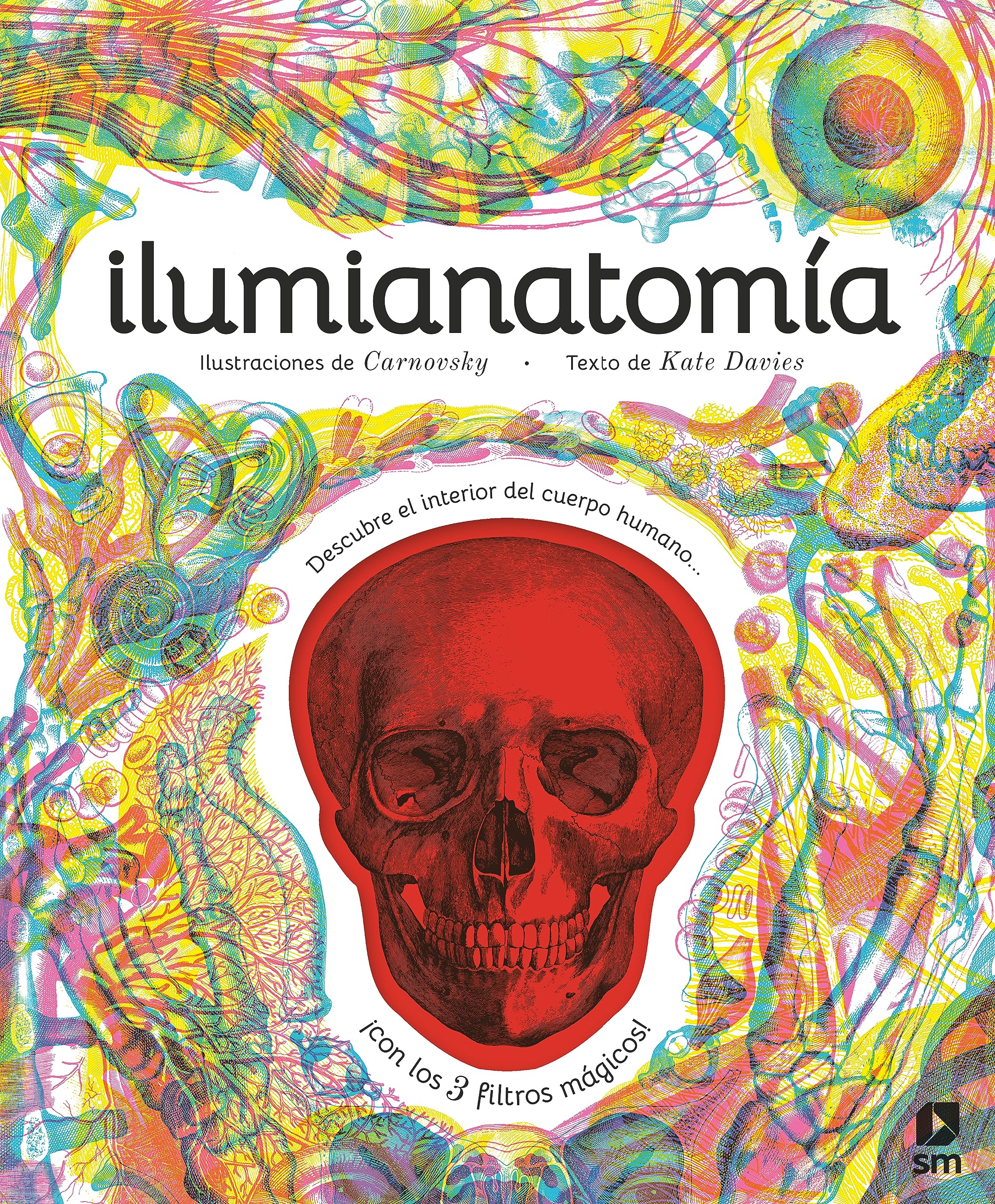 Ilumianatomía