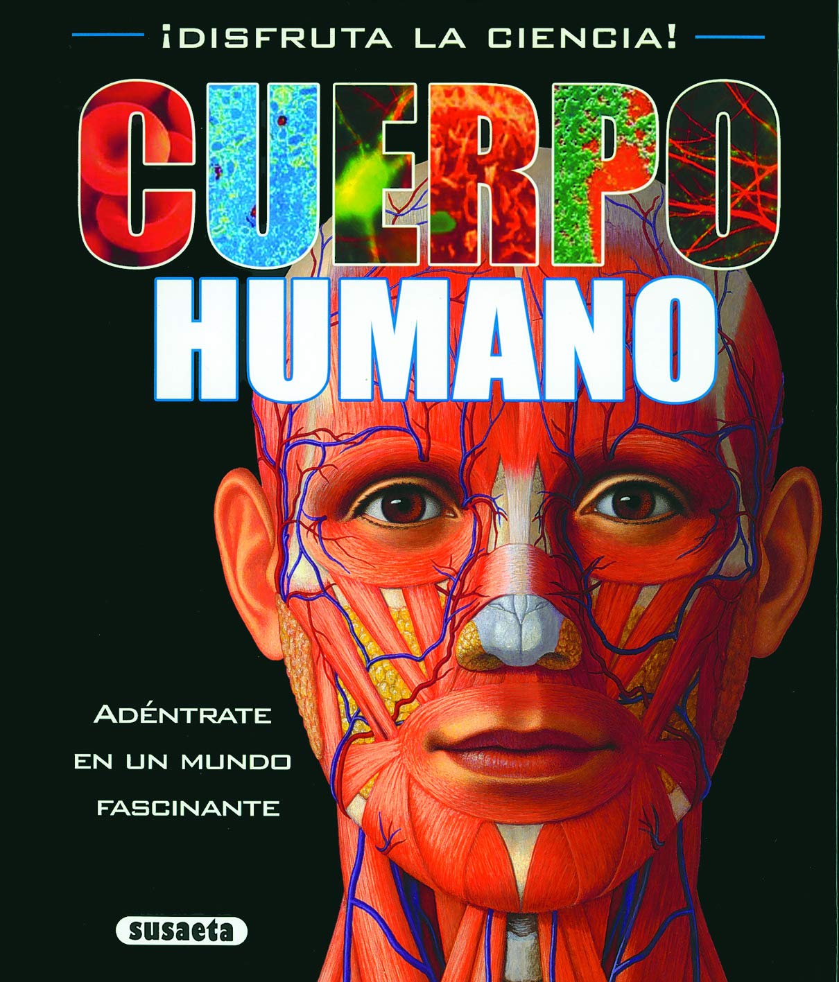 Cuerpo Humano