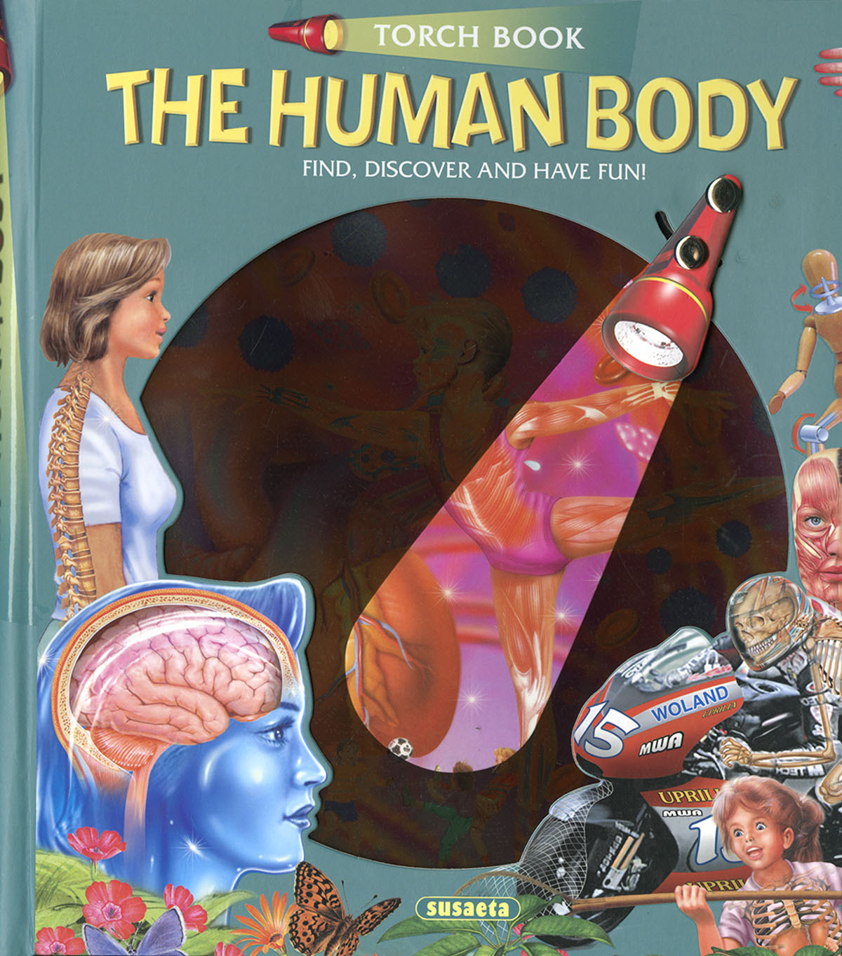 The Human Body