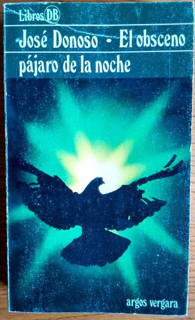 El obsceno pájaro de la noche