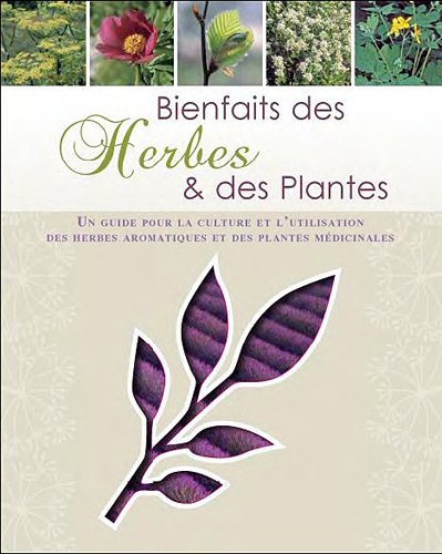 Les Plantes I el Medi