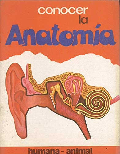 Conocer la anatomía