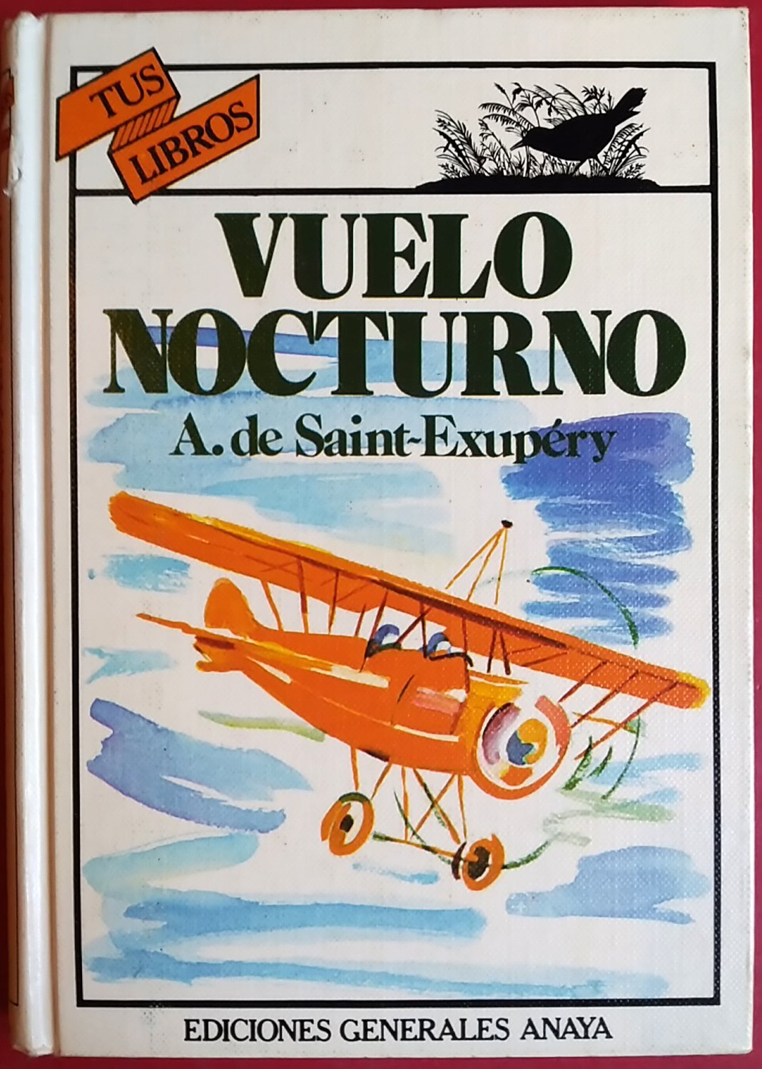 Vuelo Nocturno