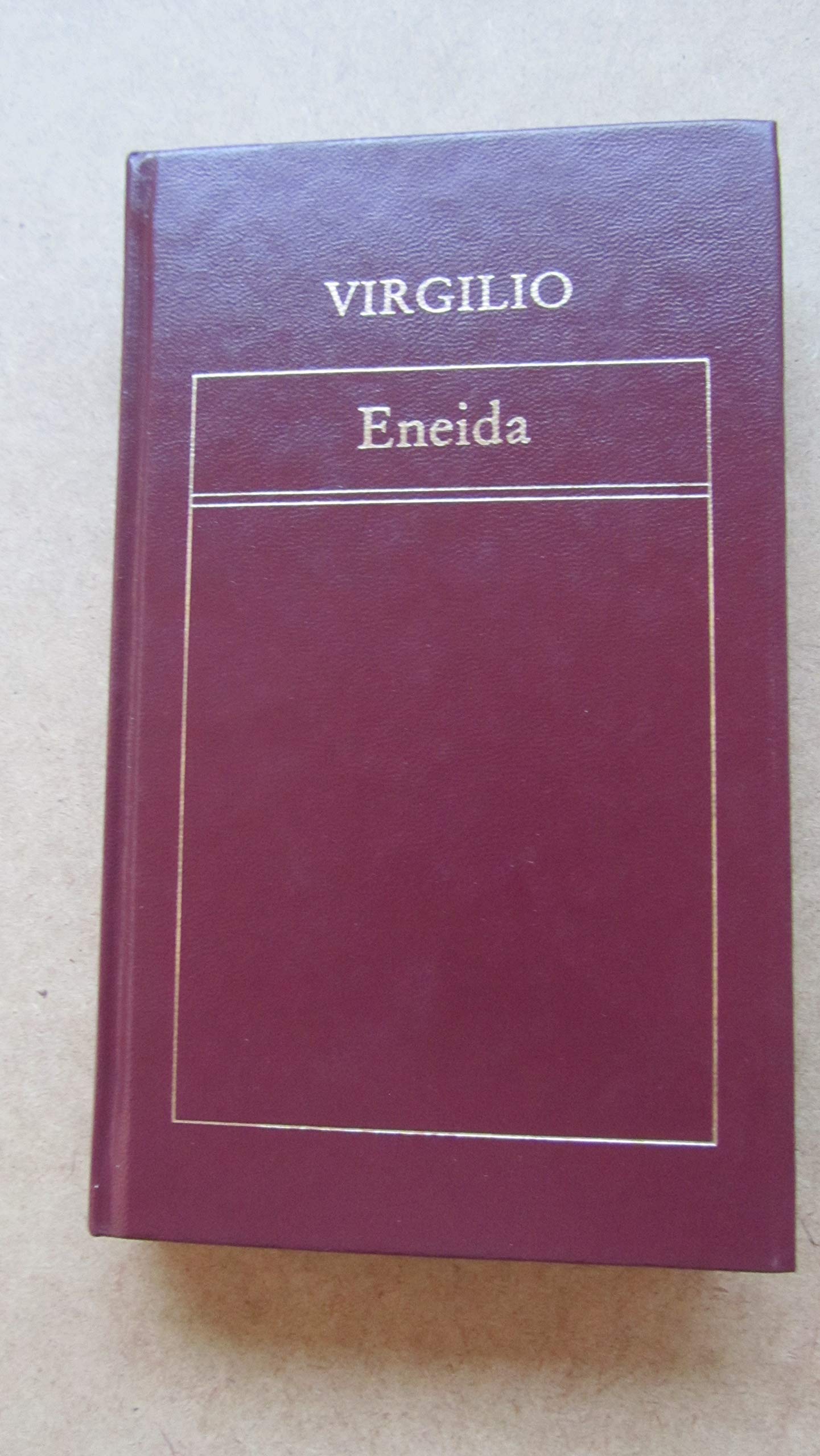 Eneida Virgilio Marón, Publio