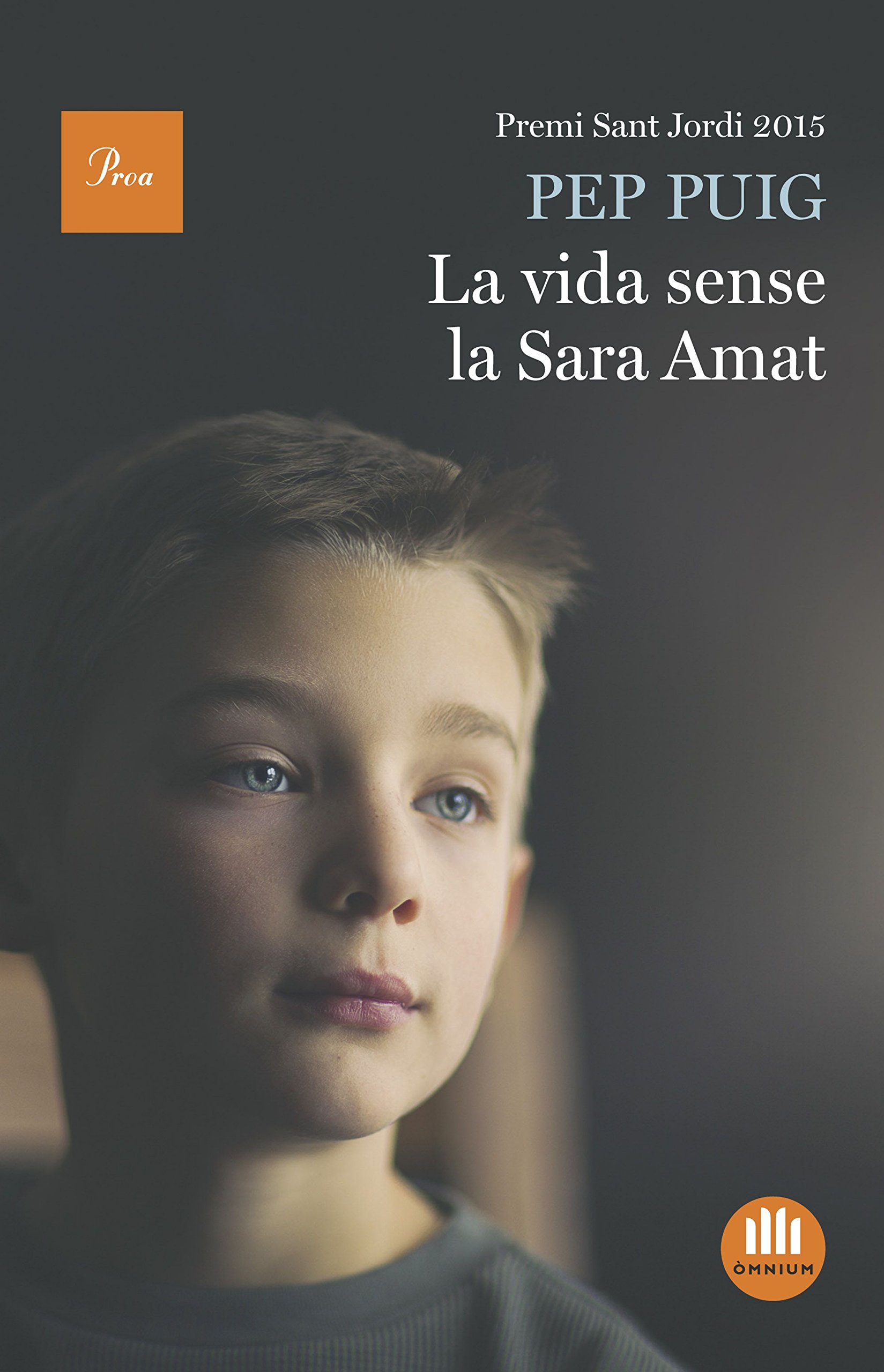 La Vida Sense la Sara Amat: Premi Sant Jordi 2015