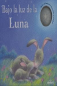 Bajo la luz de la luna