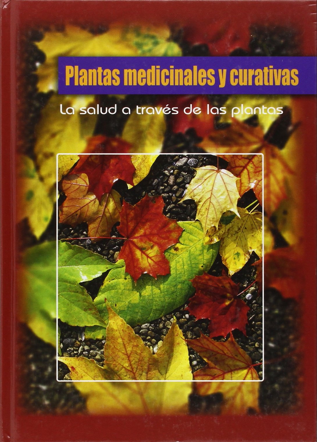 Plantas Medicinales y Curativas