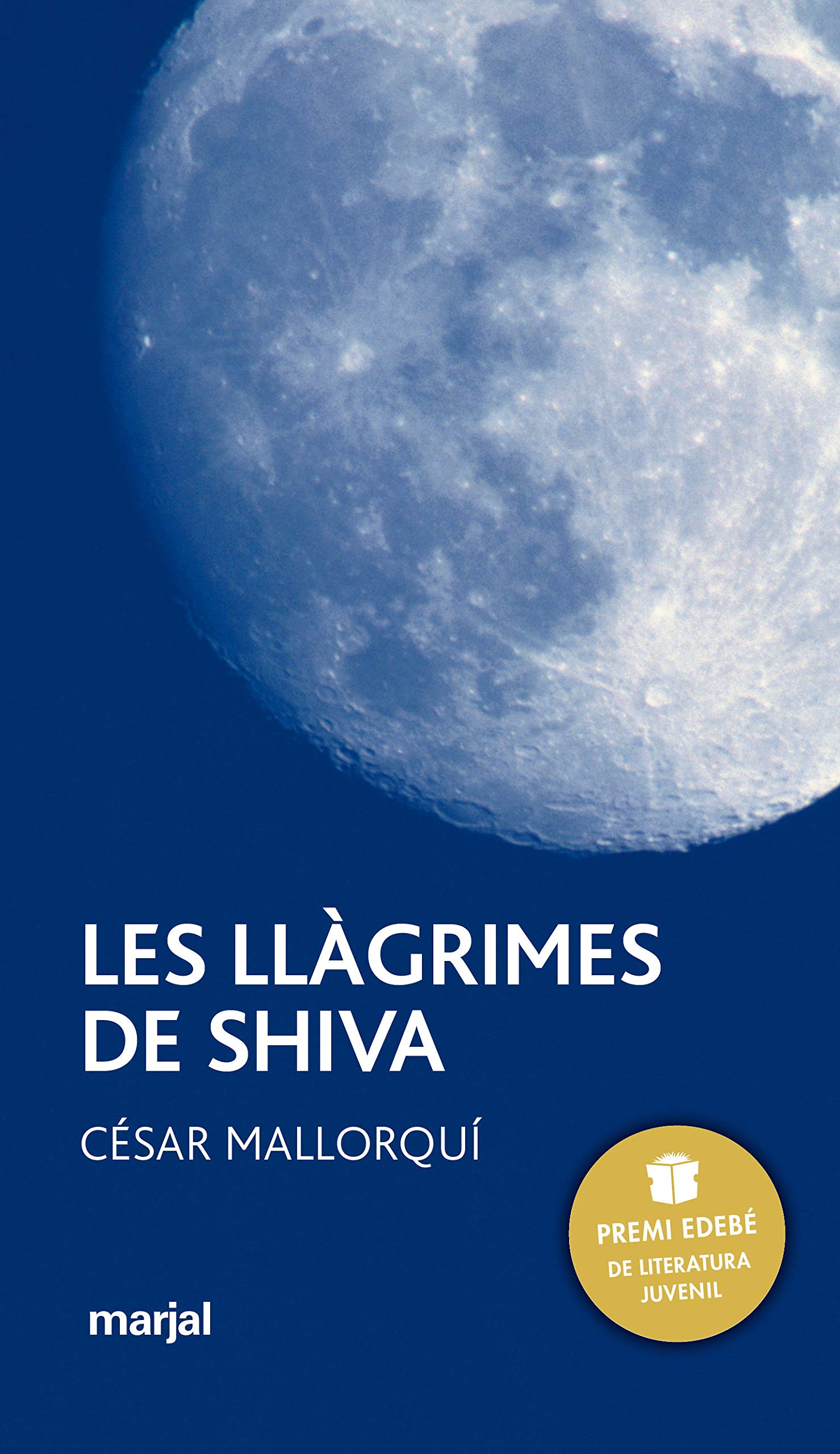 Les Llàgrimes de Shiva: 7