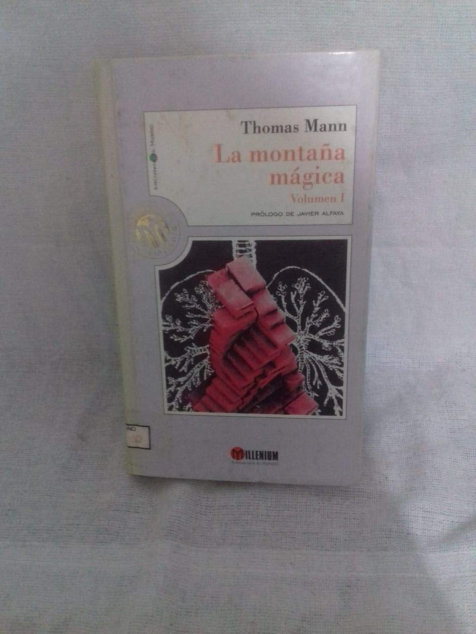 La Montaña Mágica I