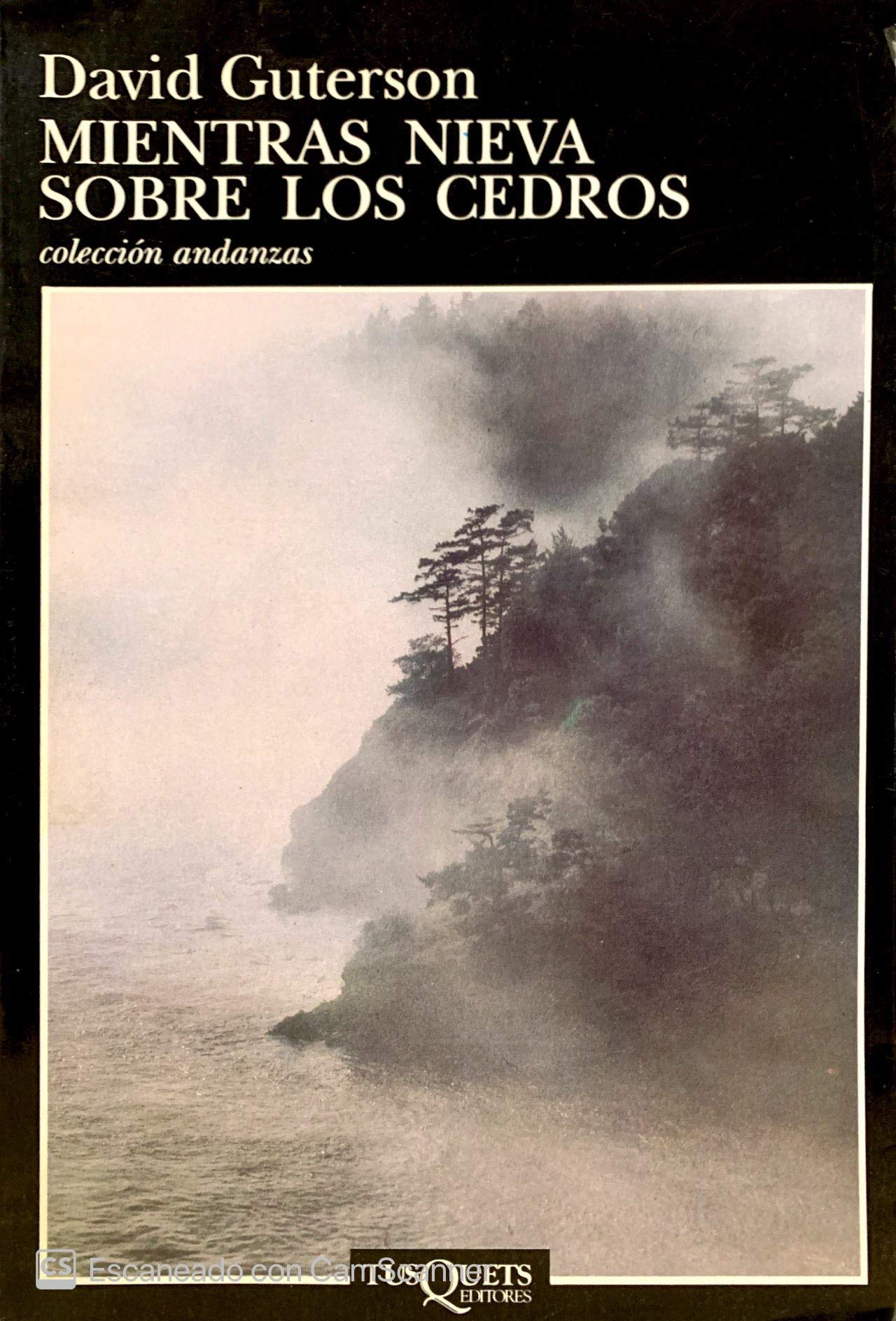 Mientras nieva sobre los cedros