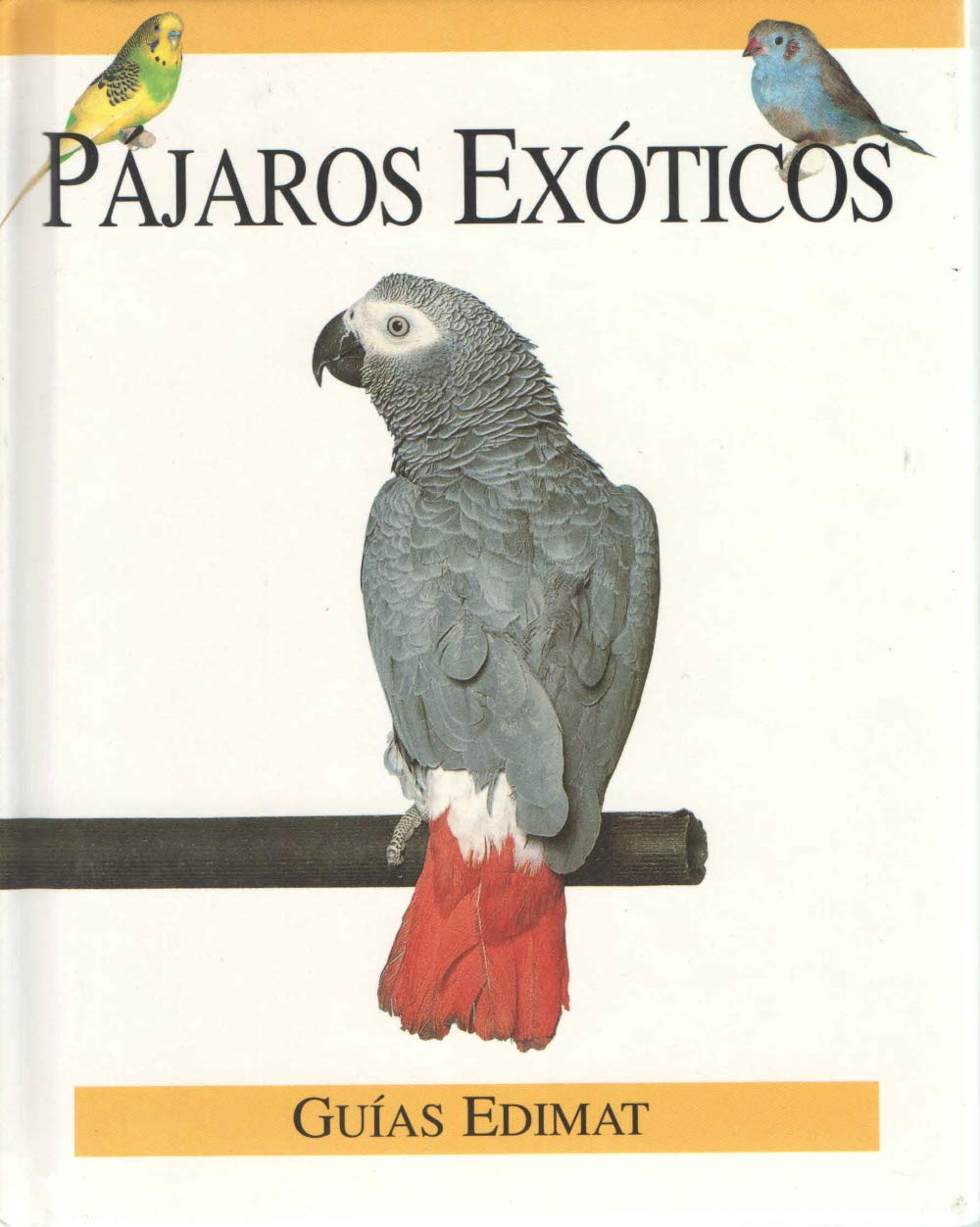Pájaros Exóticos
