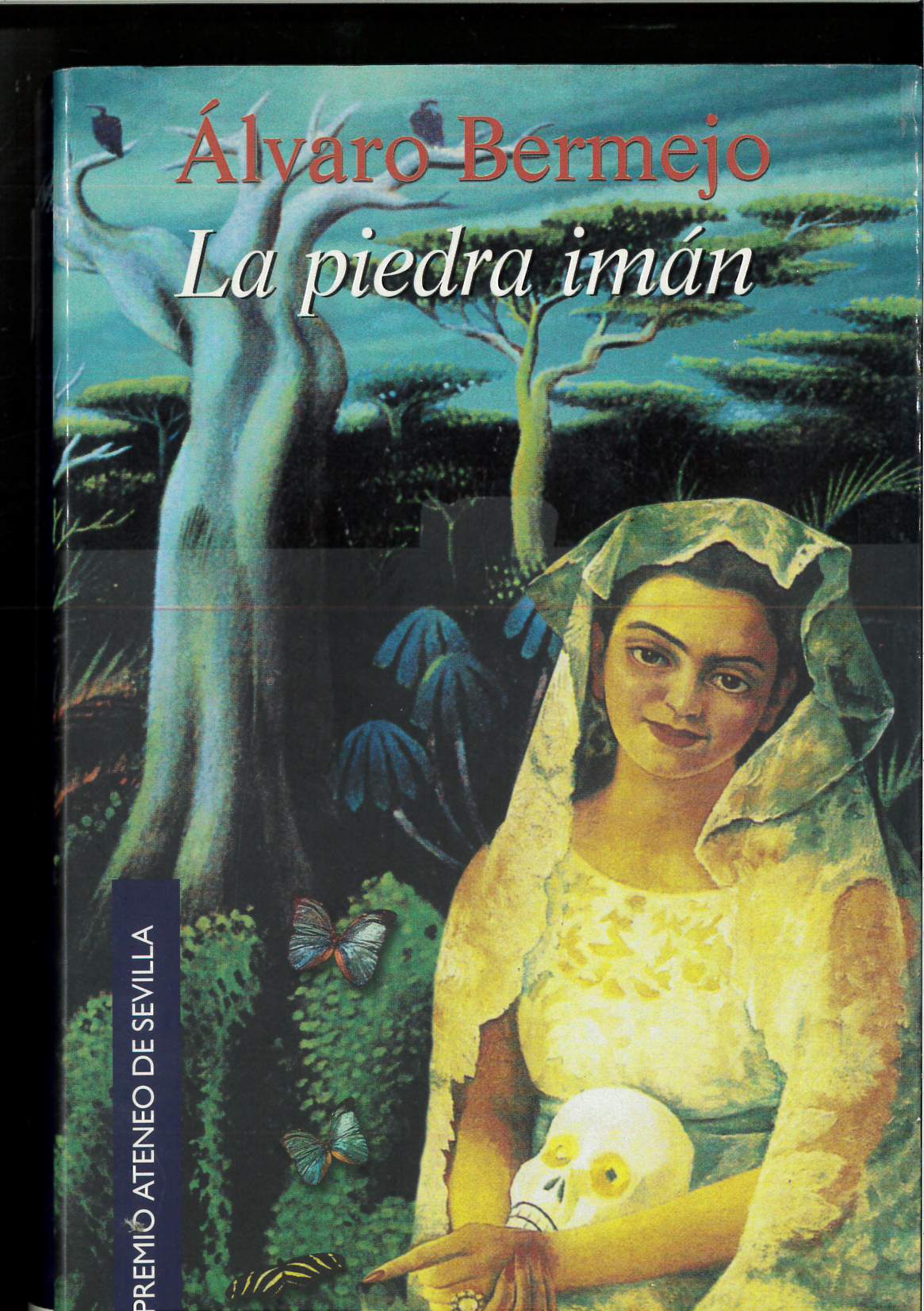 La piedra imán