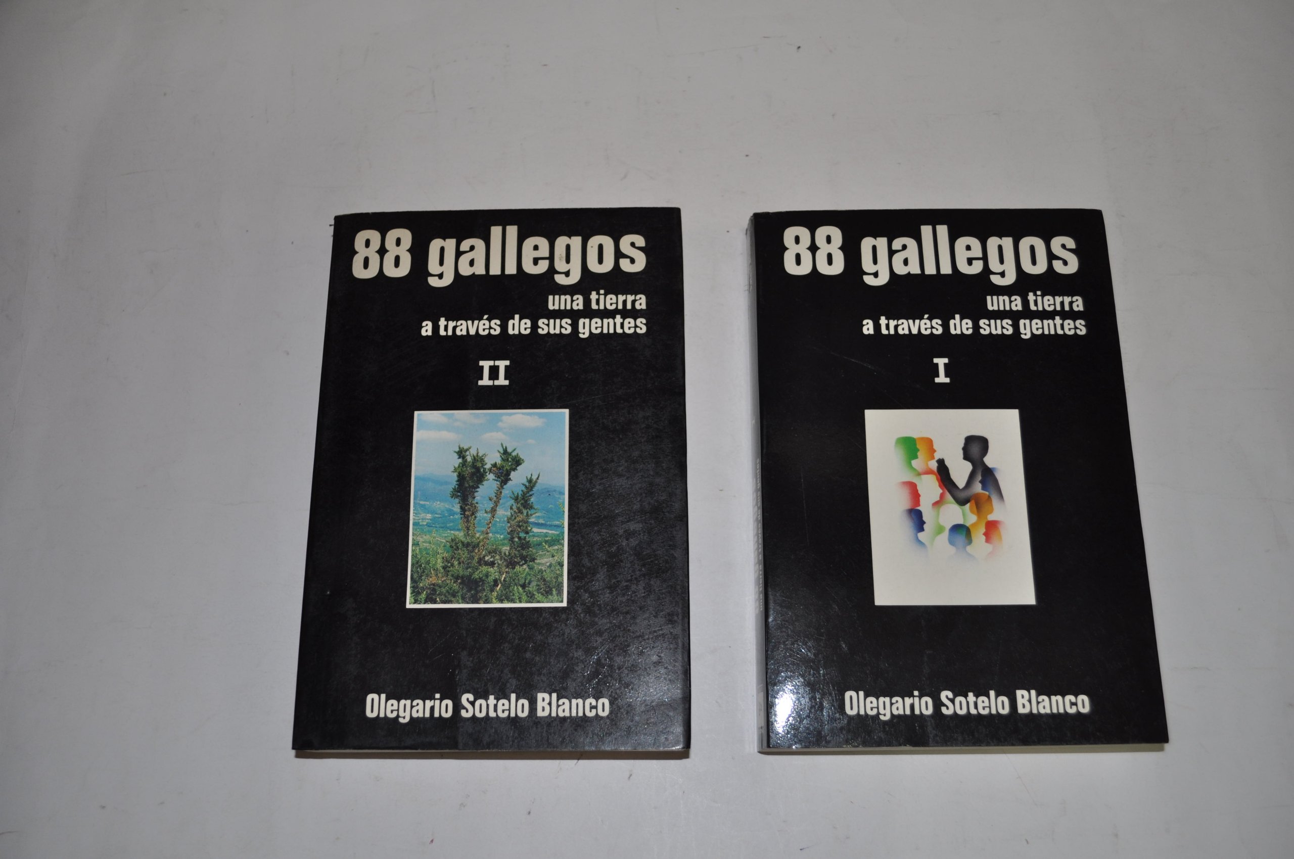 88 gallegos