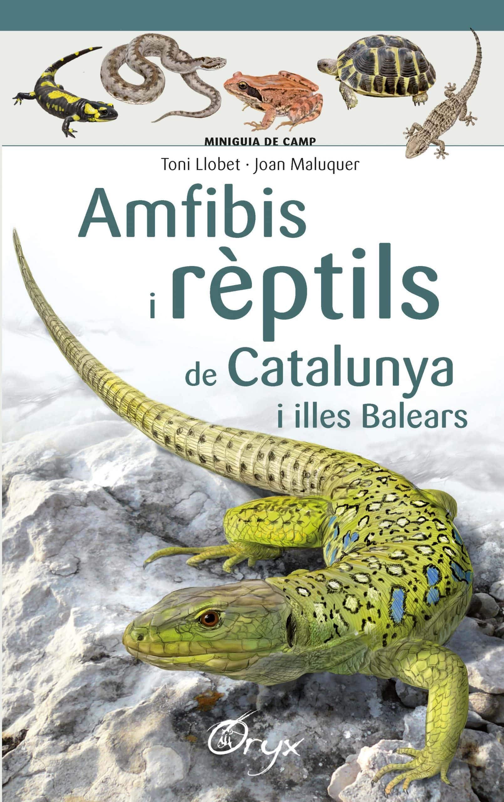 Amfibis I Rèptils de Catalunya I Illes Balears