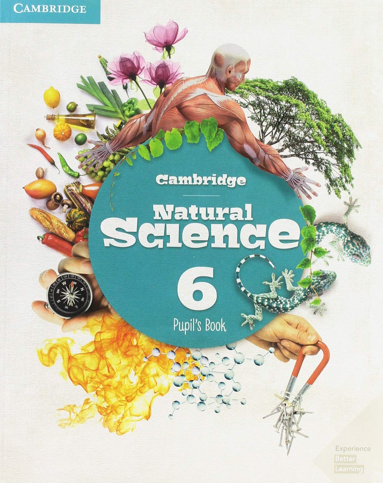 Cambridge Natural Science Level 6 Pupil's Book - 9788490365052