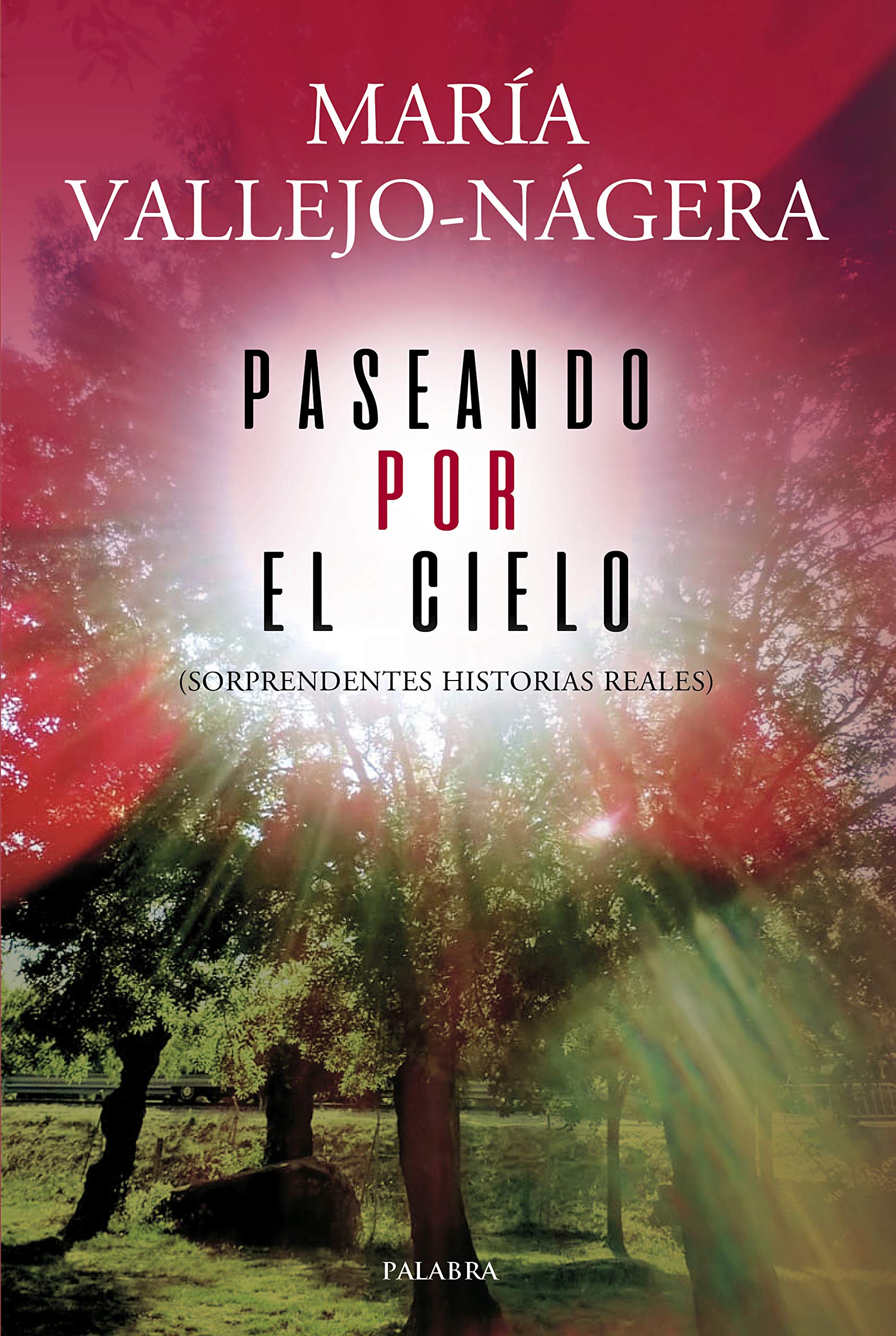 Paseando por el Cielo: Sorprendentes Historias Reales