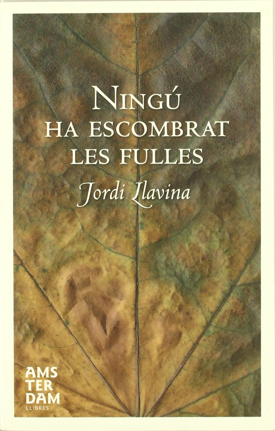 Ningú ha escombrat les fulles