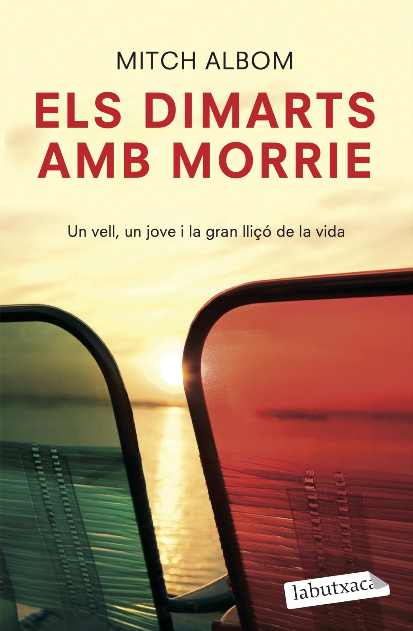 Els Dimarts Amb Morrie: Un Vell, Un Jove I la Gran Lliçó de la Vida