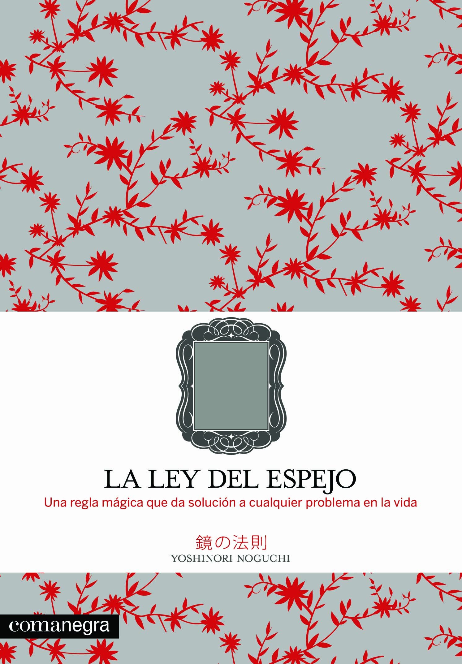 La Ley Del Espejo: Una Regla Mágica Que Resuelve Cualquier Problema en la Vida