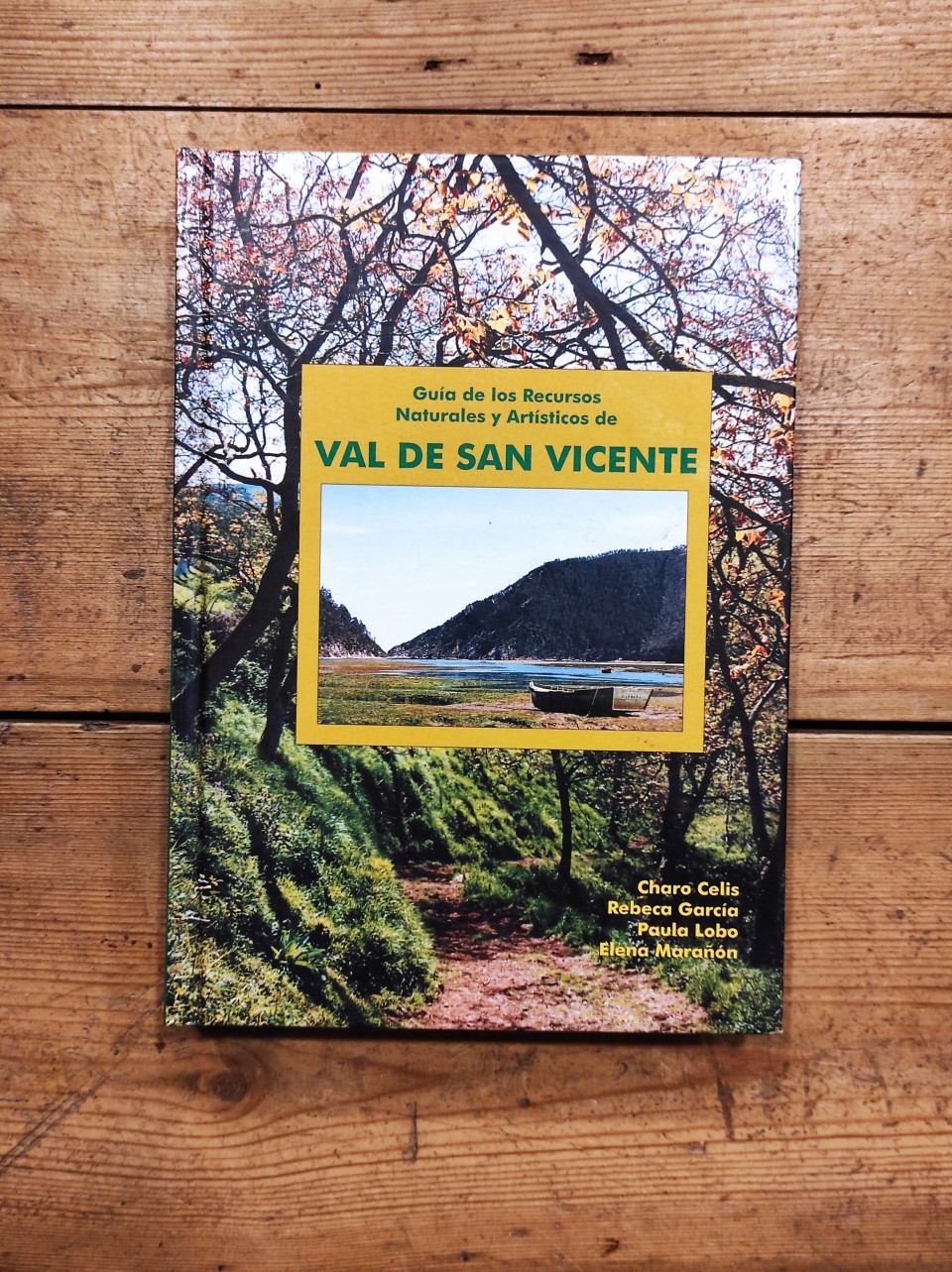 Guía de los recursos naturales y artísticos de Val de San Vicente