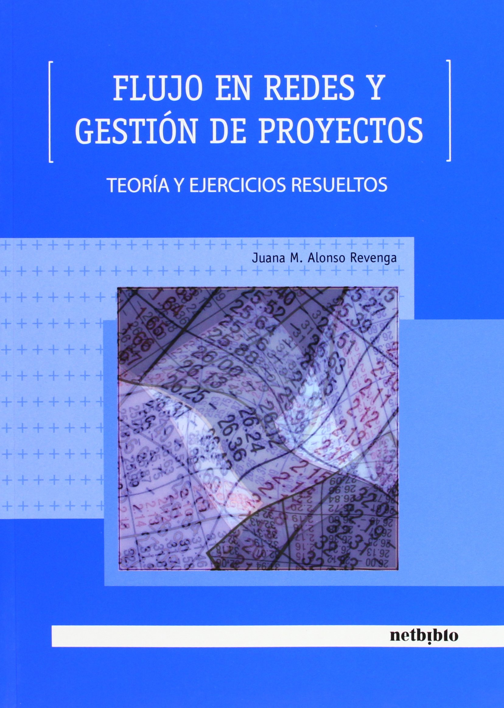 Flujo en redes y gestión de proyectos